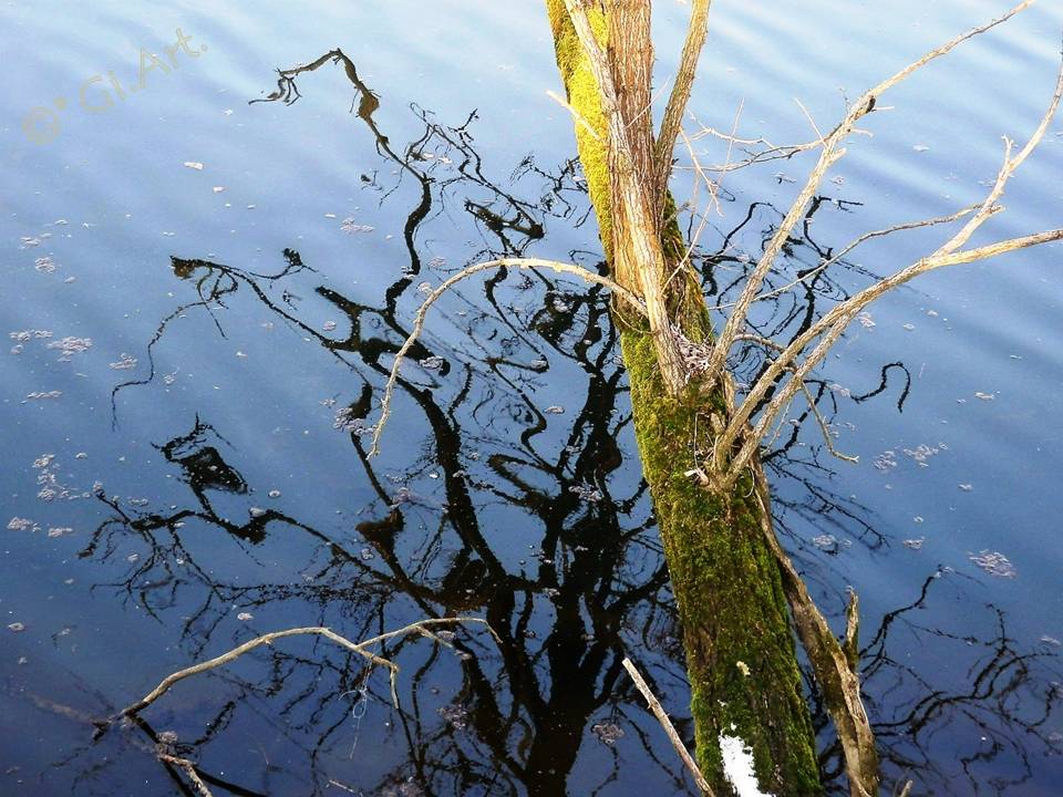 riflessi sull'acqua
