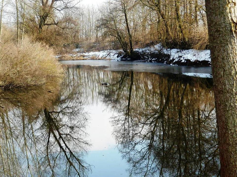 riflessi sull'acqua