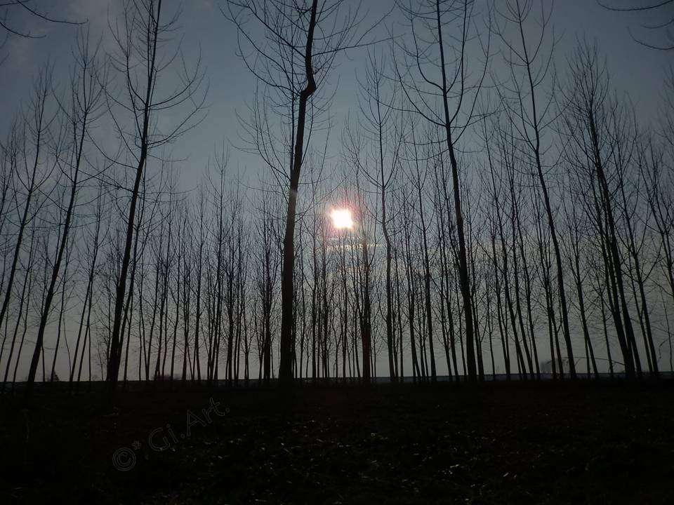 riflessi
