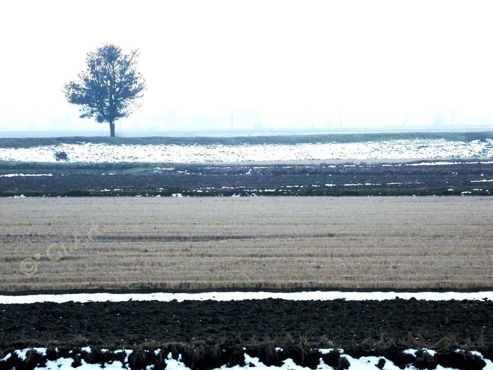 l'ultima neve