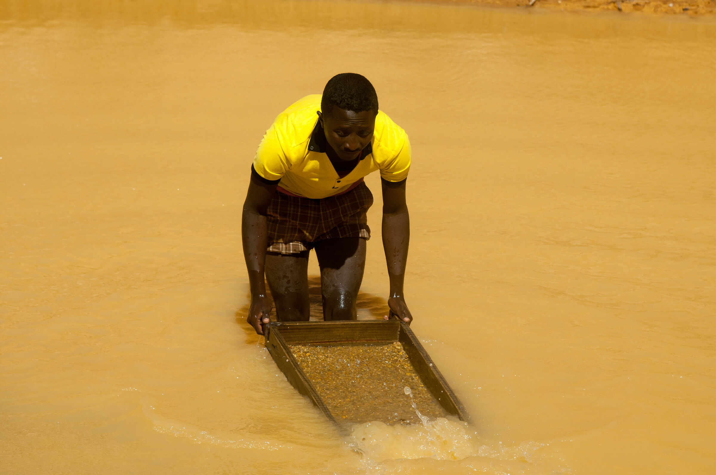 I figli setacciano il terriccio