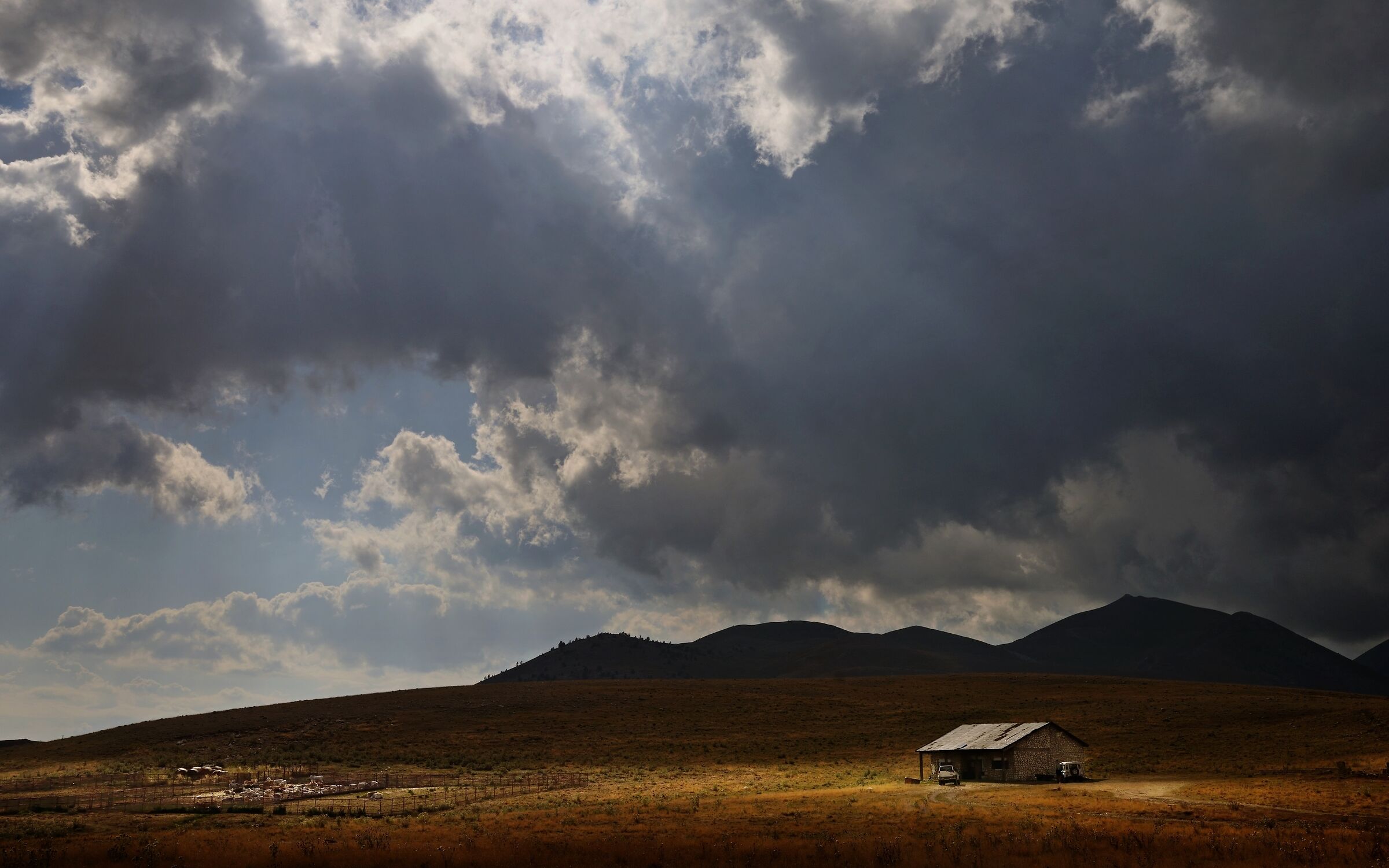 The Ranch, New Yorker