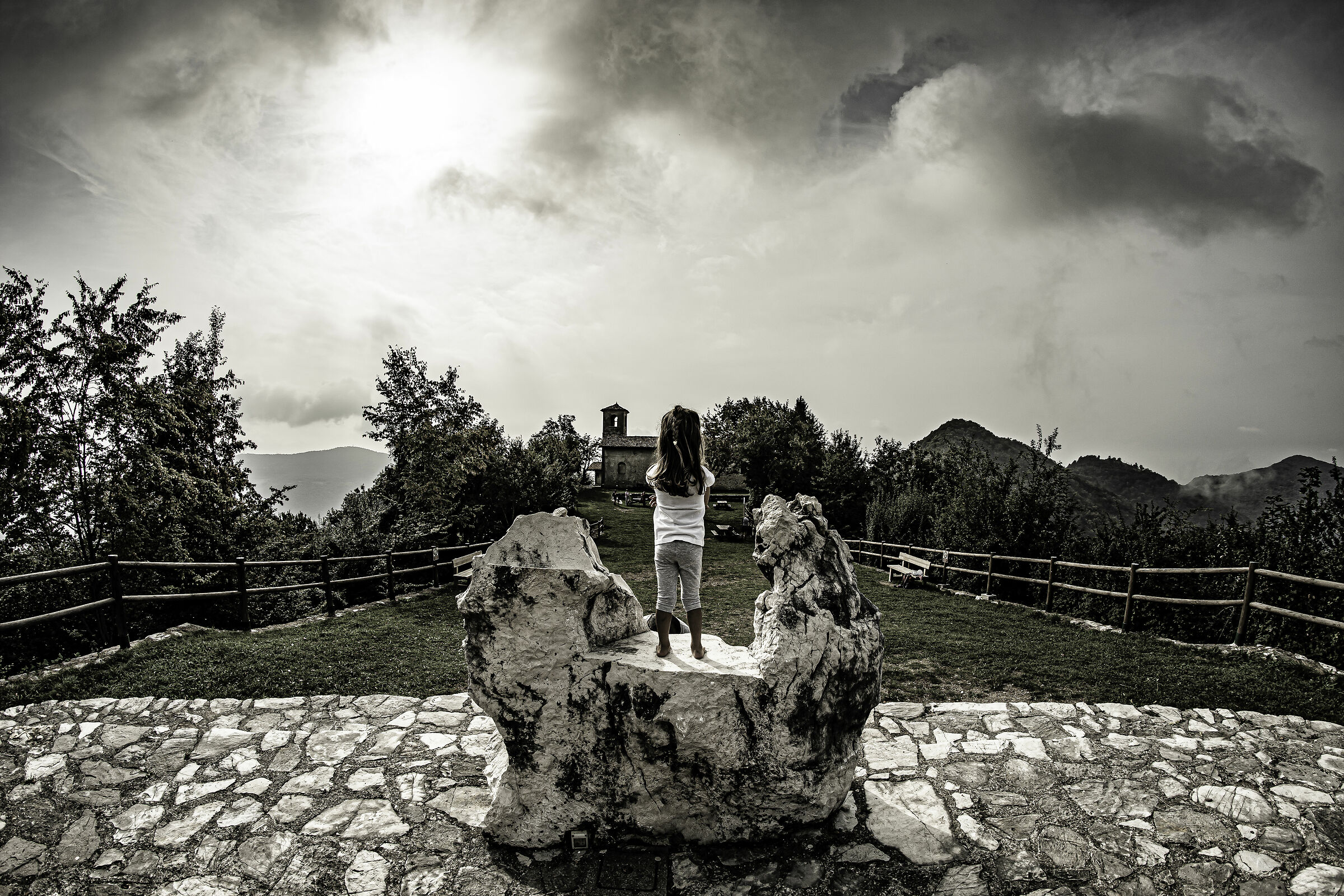 color tests and fish eye