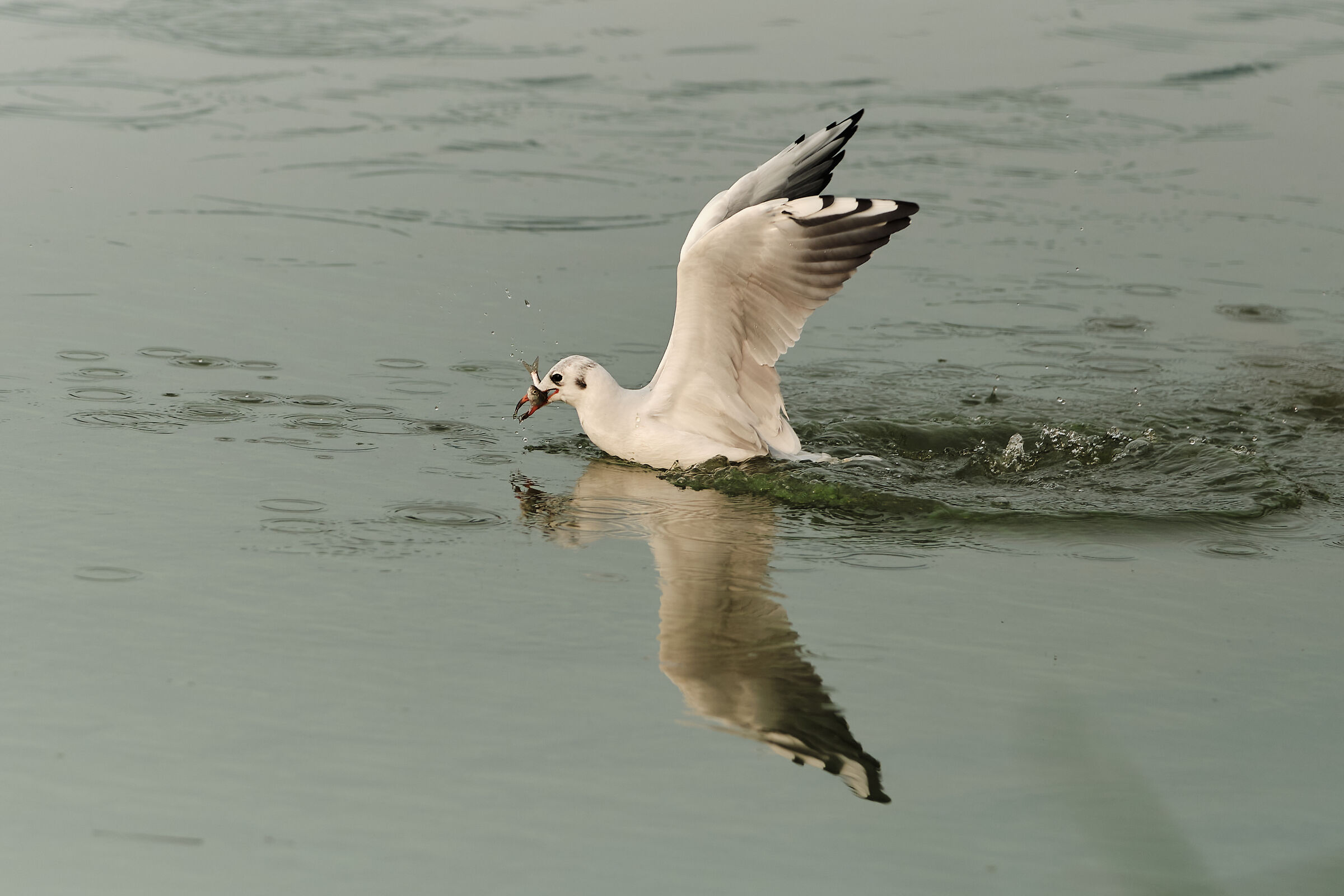 Colazione alle prime luci dell'alba