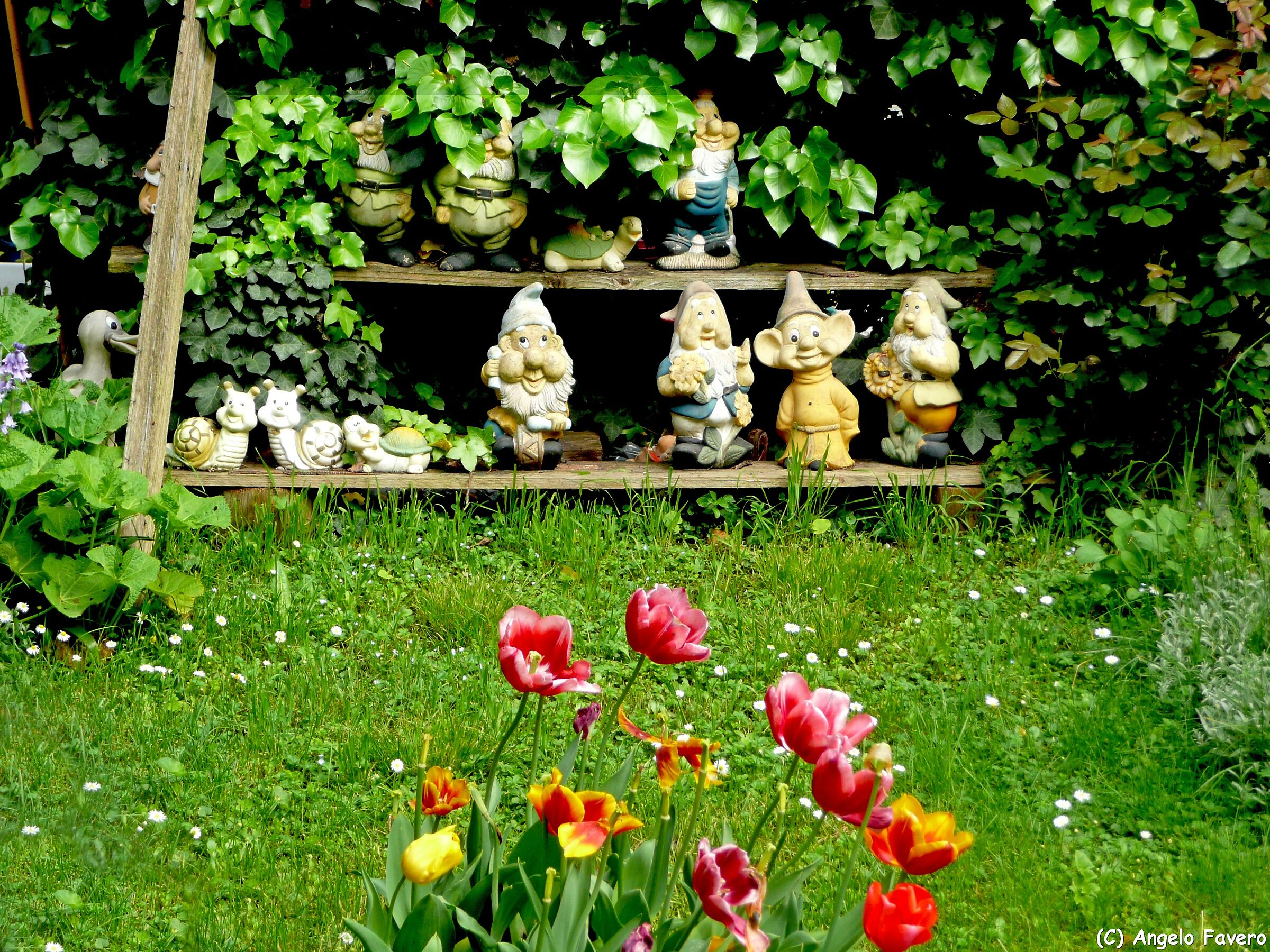 The Magnificent Seven