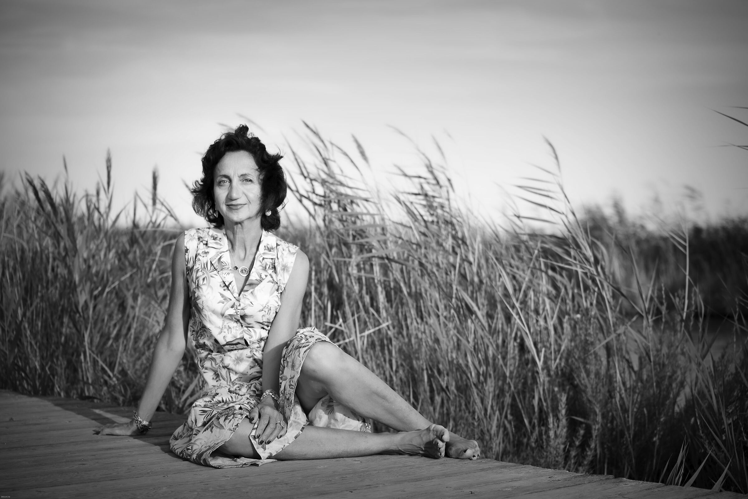 ed il vento soffiava nel canneto