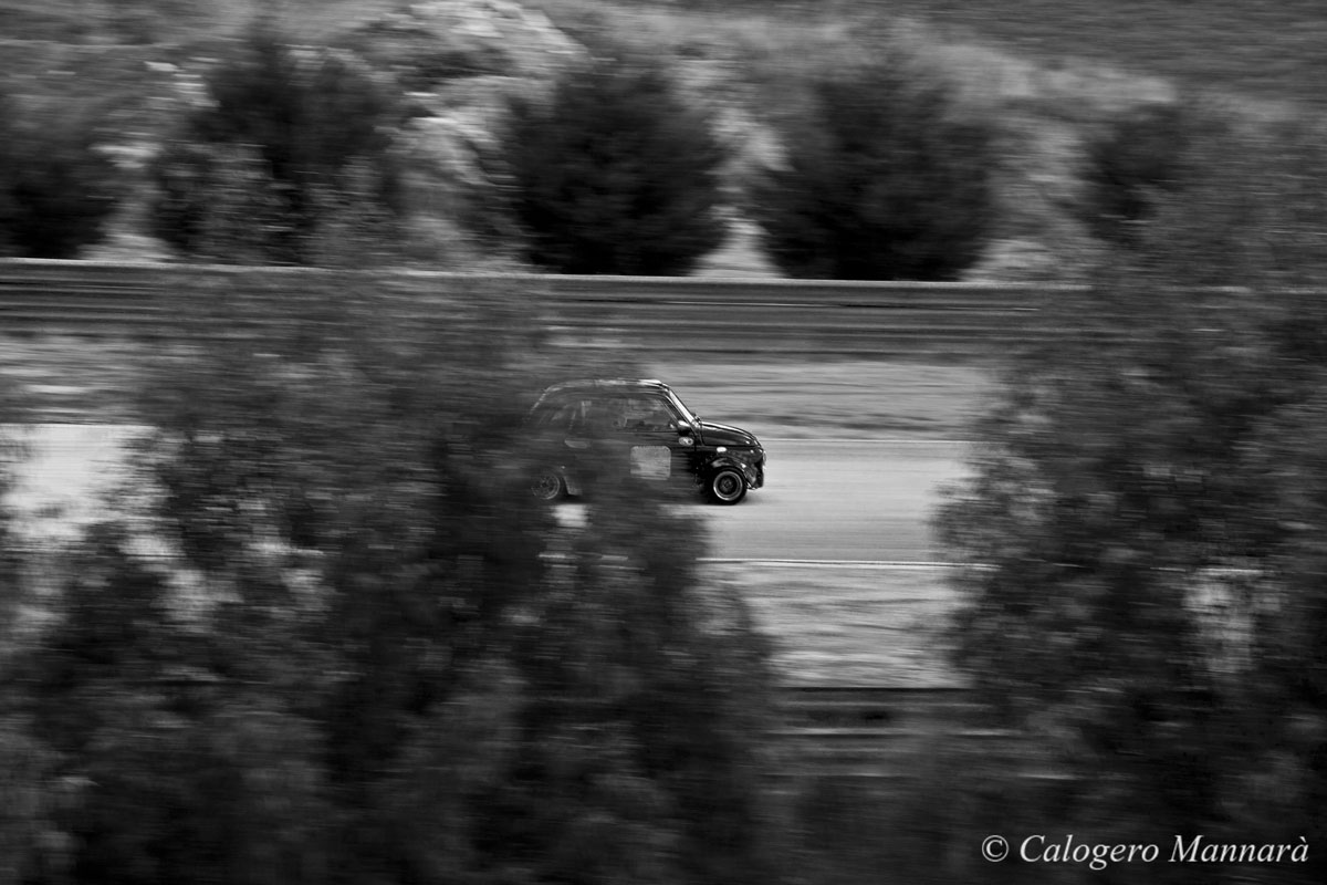 fiat 500 tra gli alberi