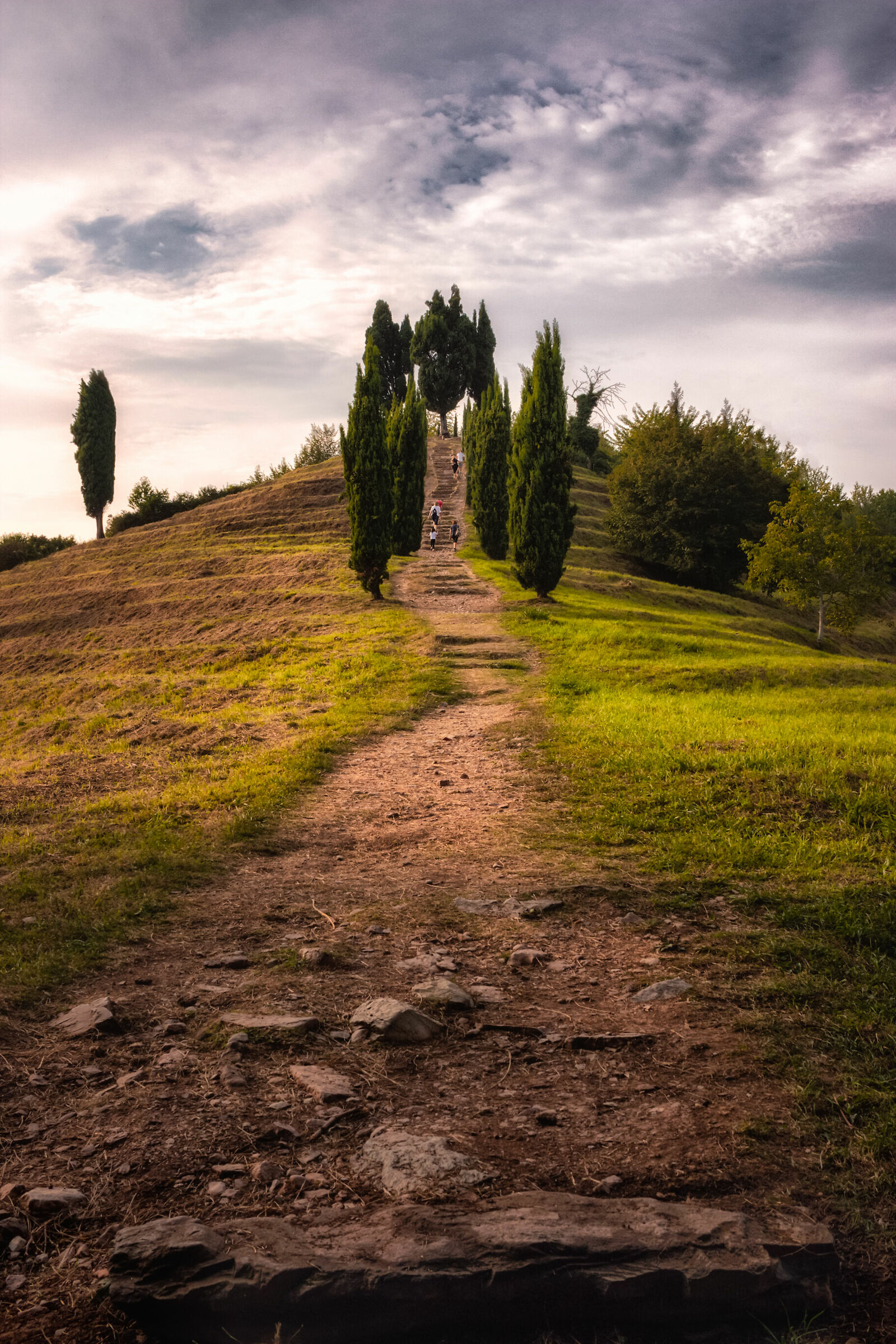 Collina dei cipressi