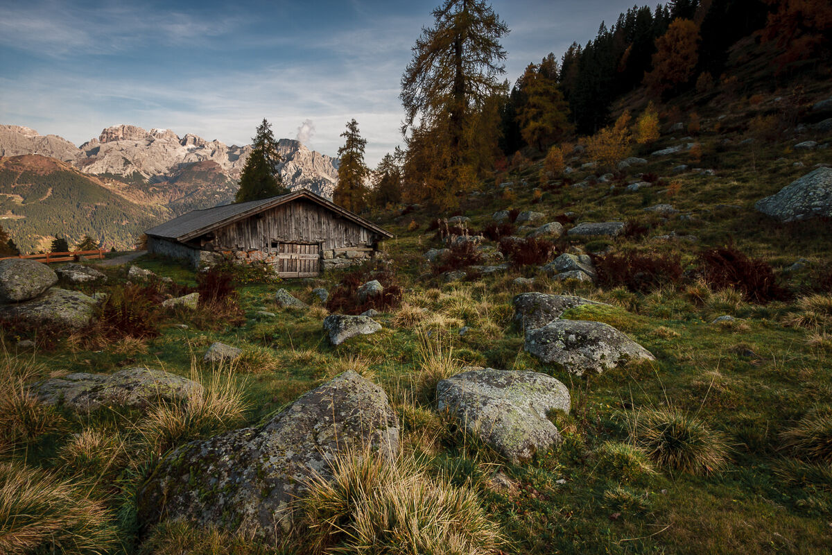 Pomeriggio in malga ...