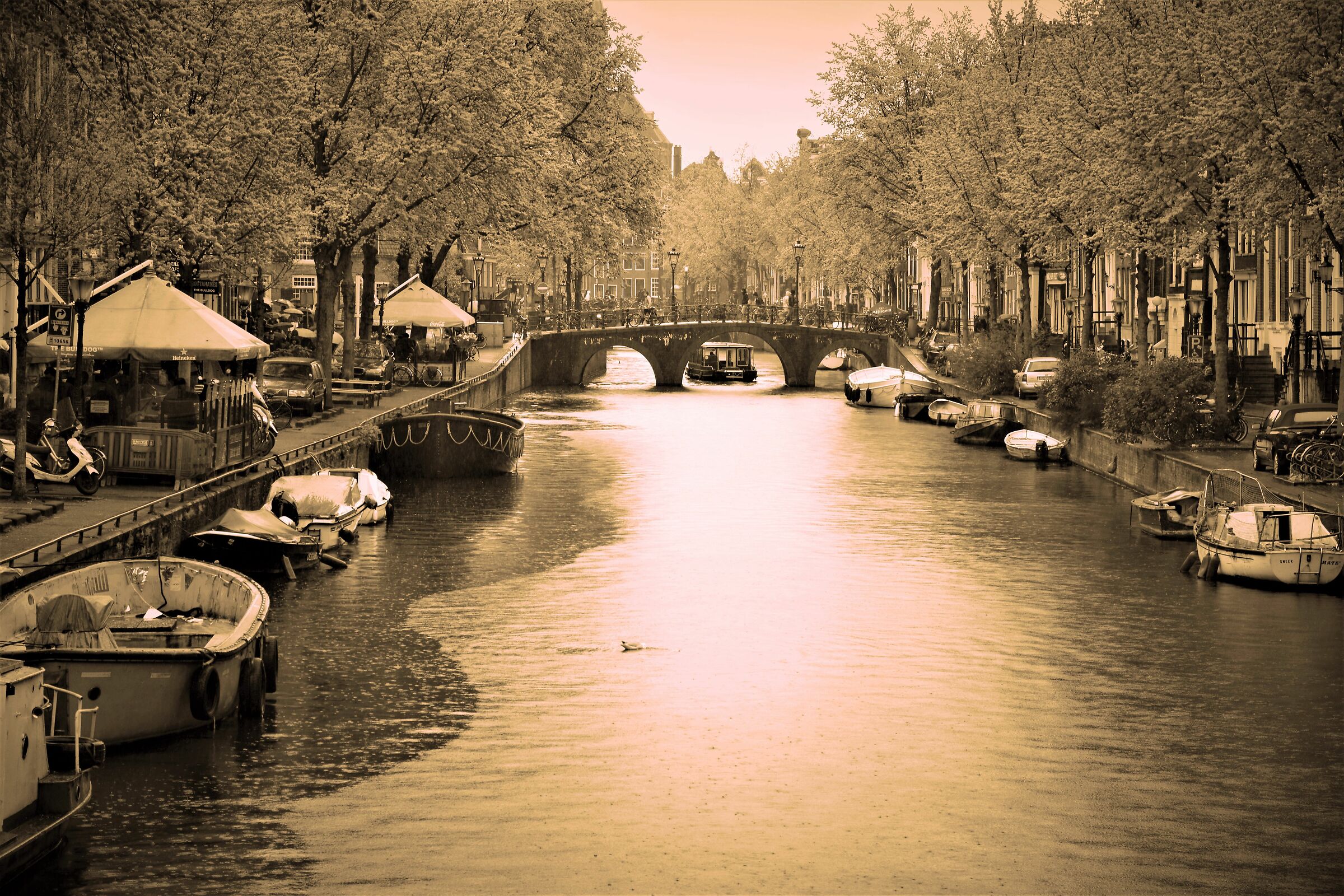 ricordi di Amsterdam