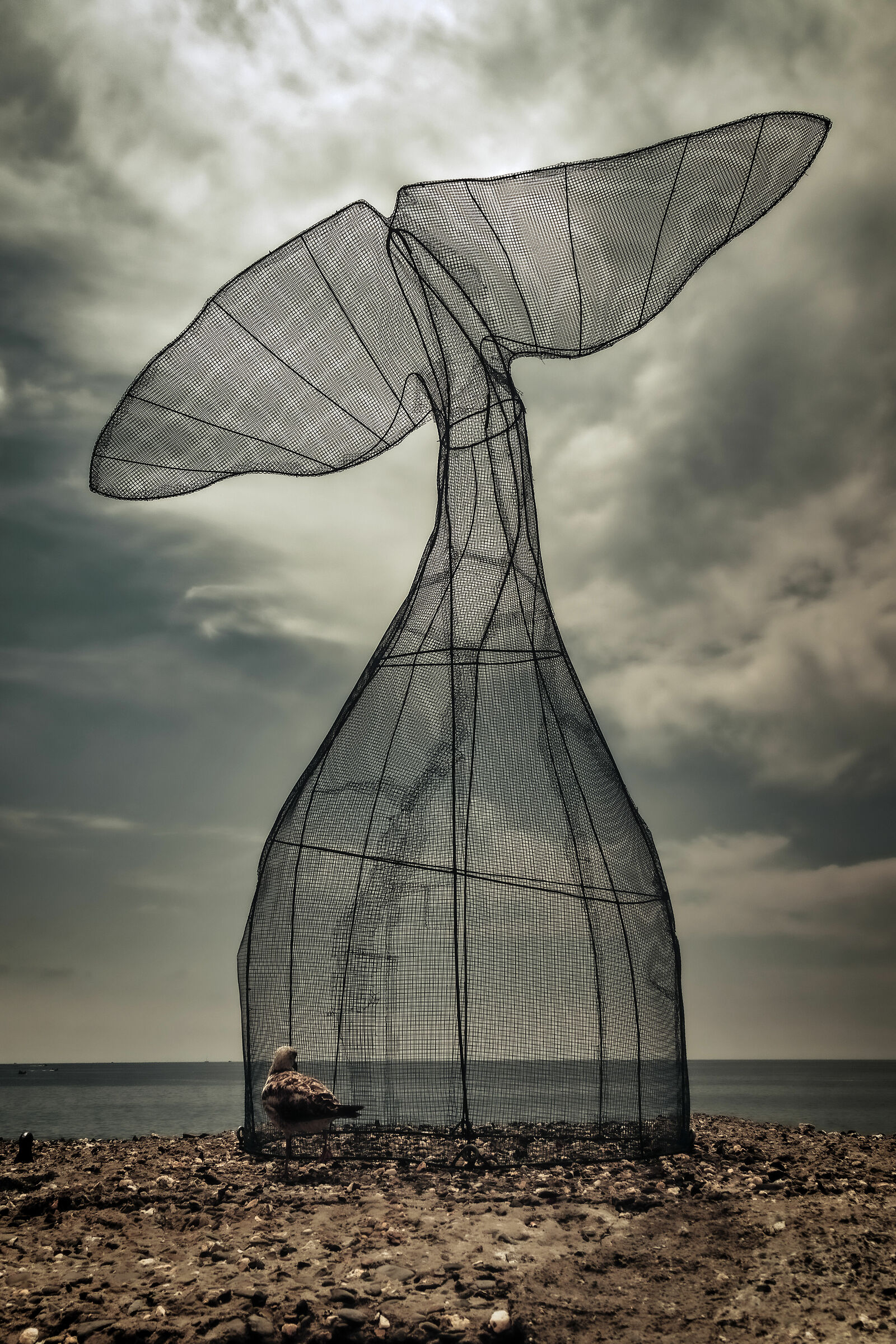 THE DOLPHIN AND THE SEAGULLS