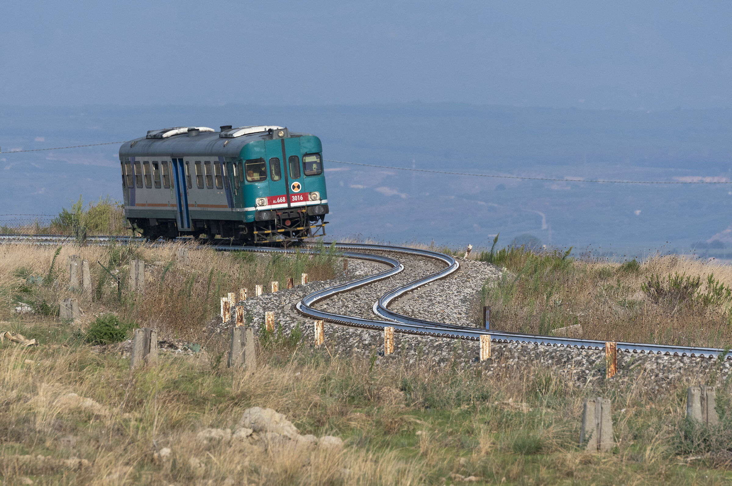 They of Castelvetrano