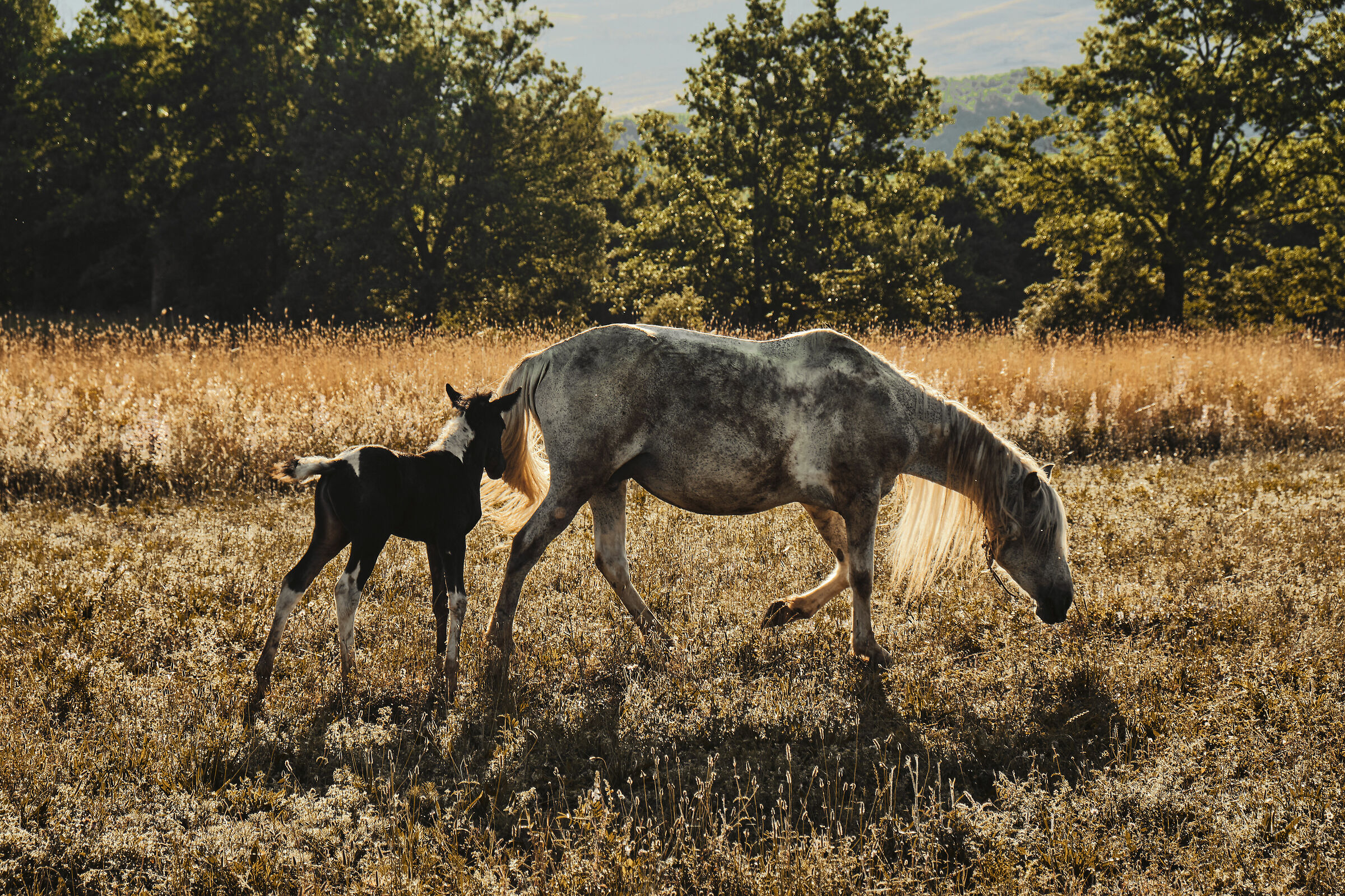 Mom and daughter at dawn