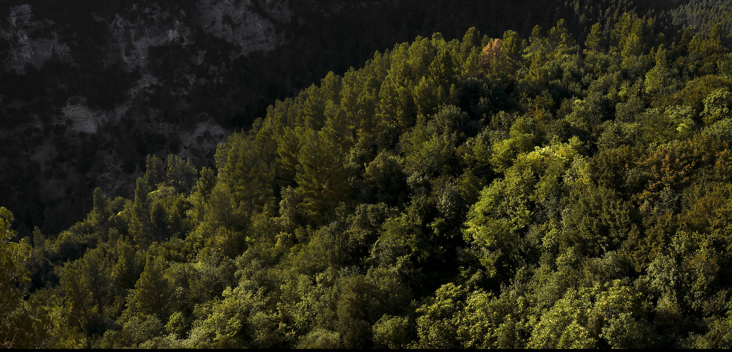 Orta Valley