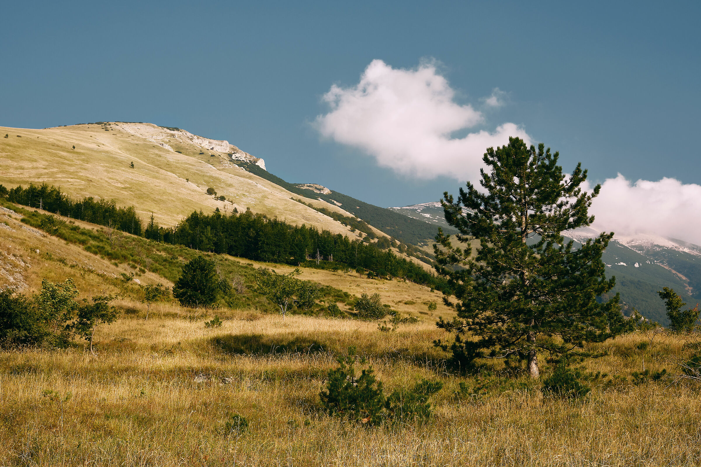 Majella, Mother Mountain in Abruzzo