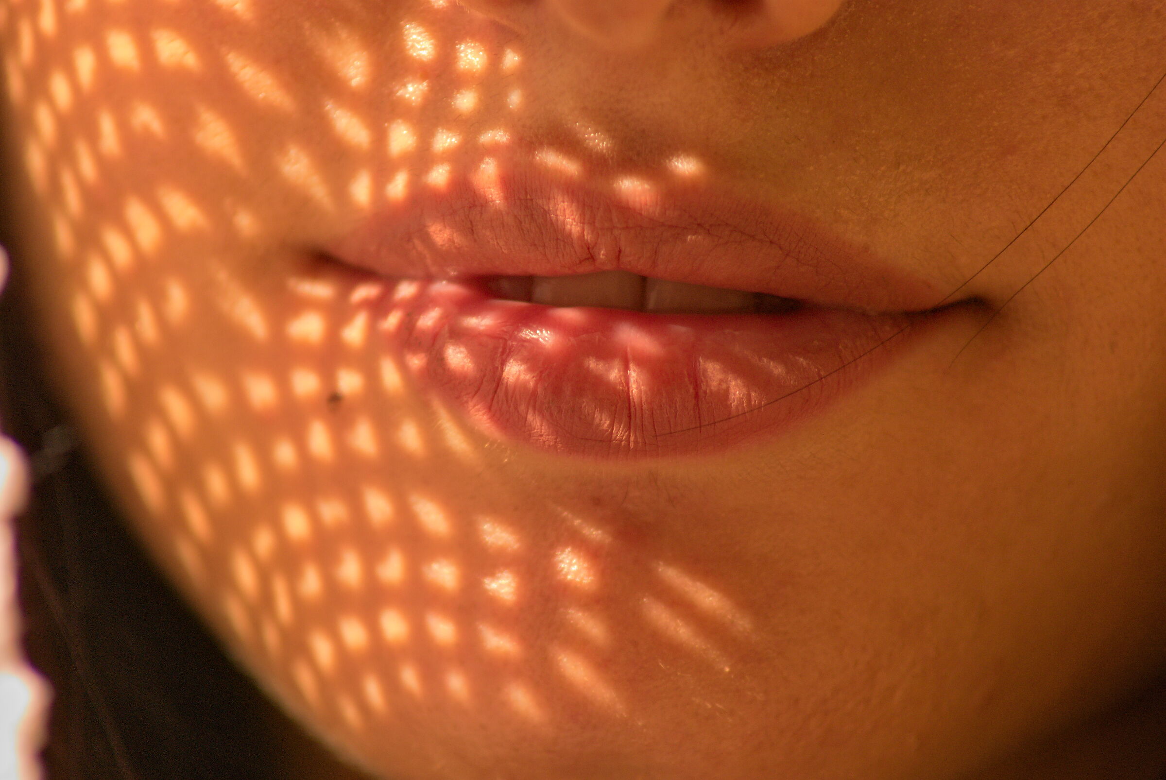 Lips