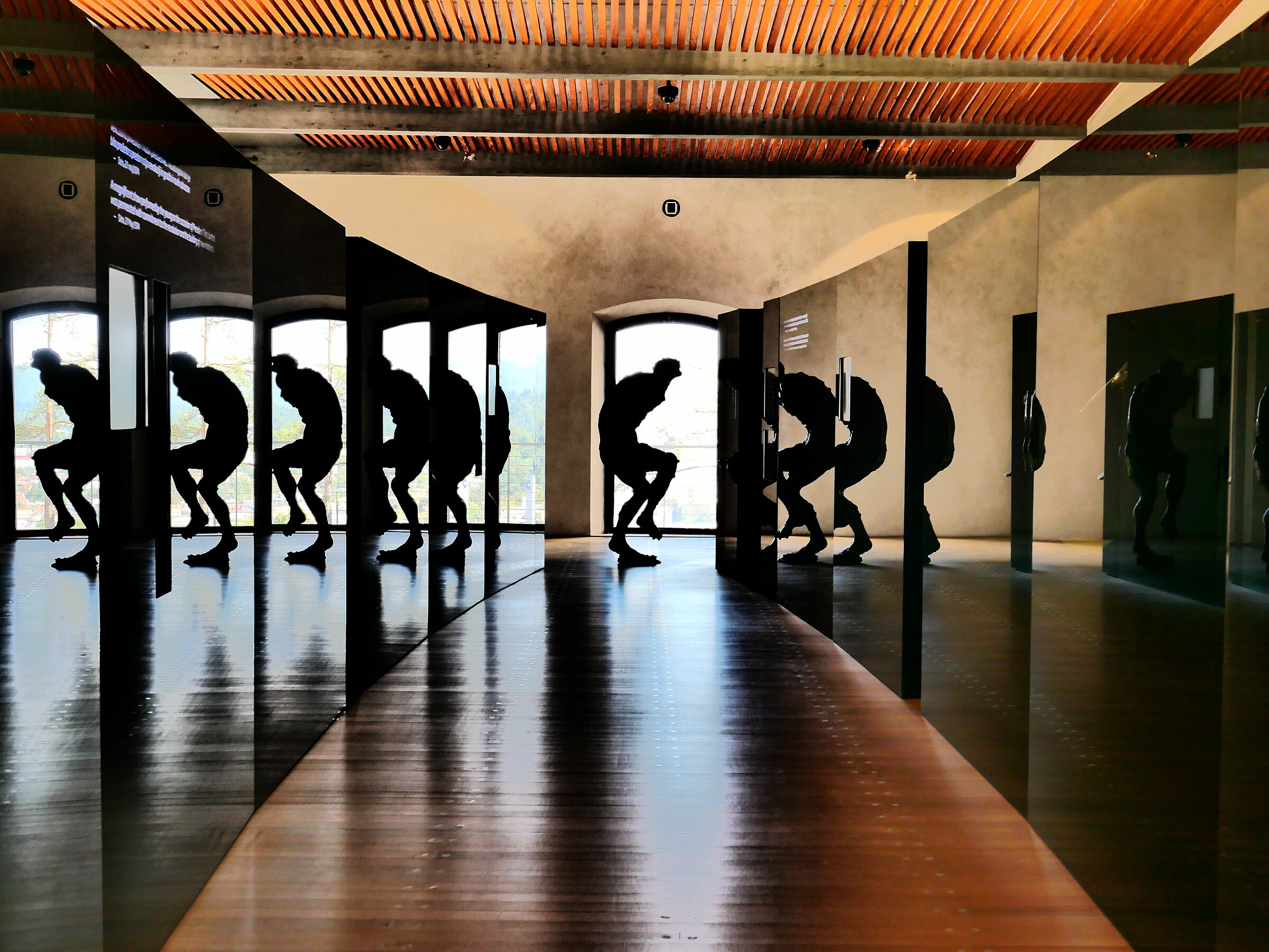 Il Mostro del Castello di Lubiana