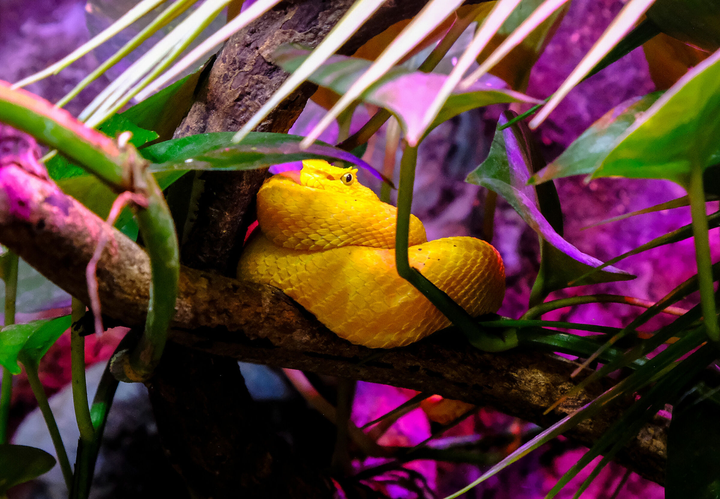 safaripark lago maggiore