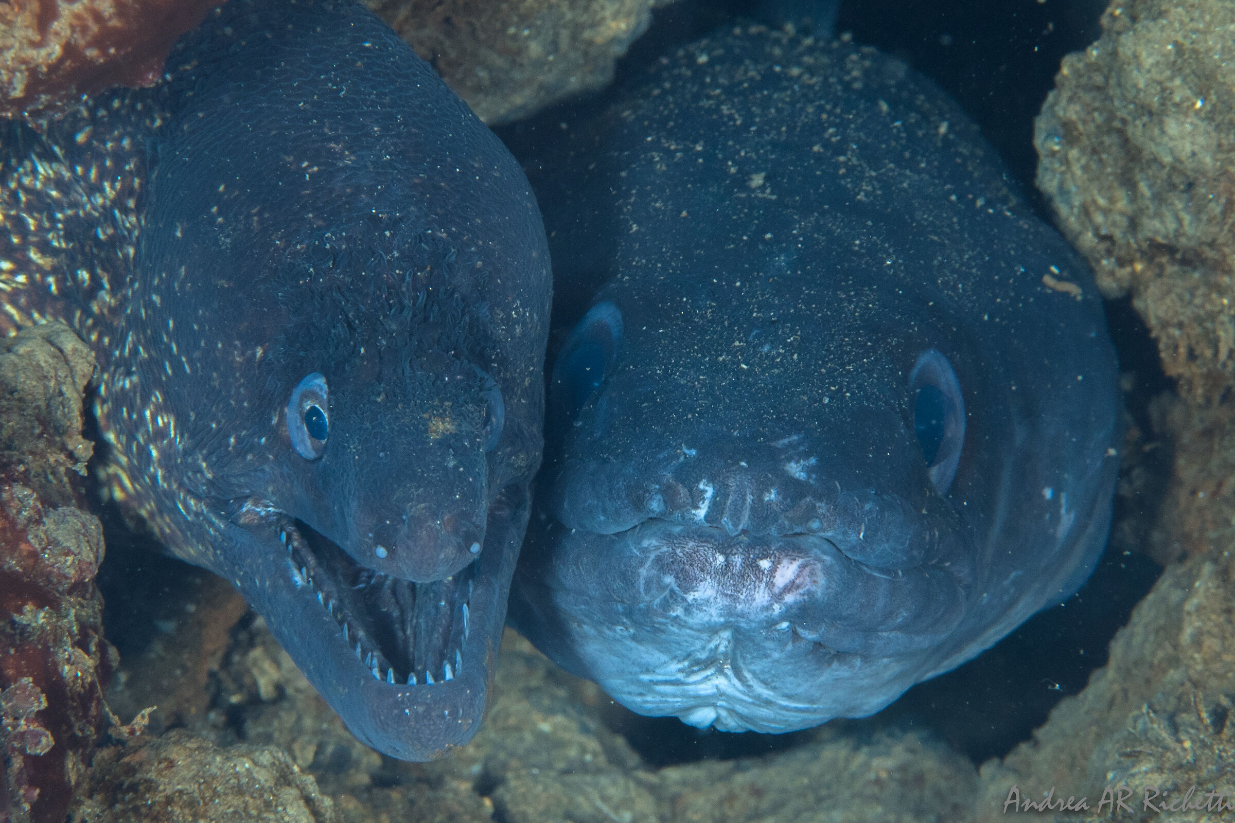 Gino and his fiancée