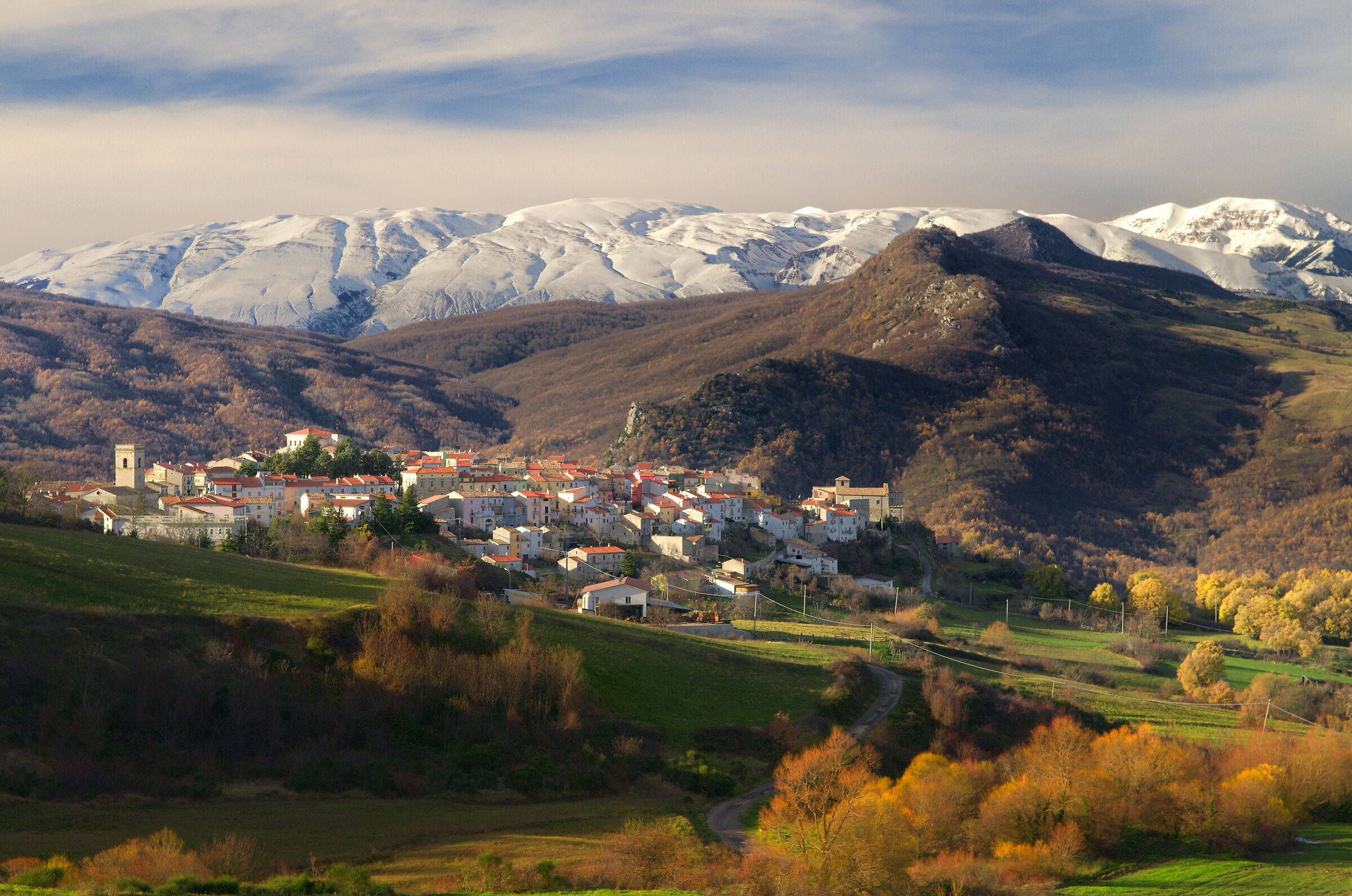 Borrello