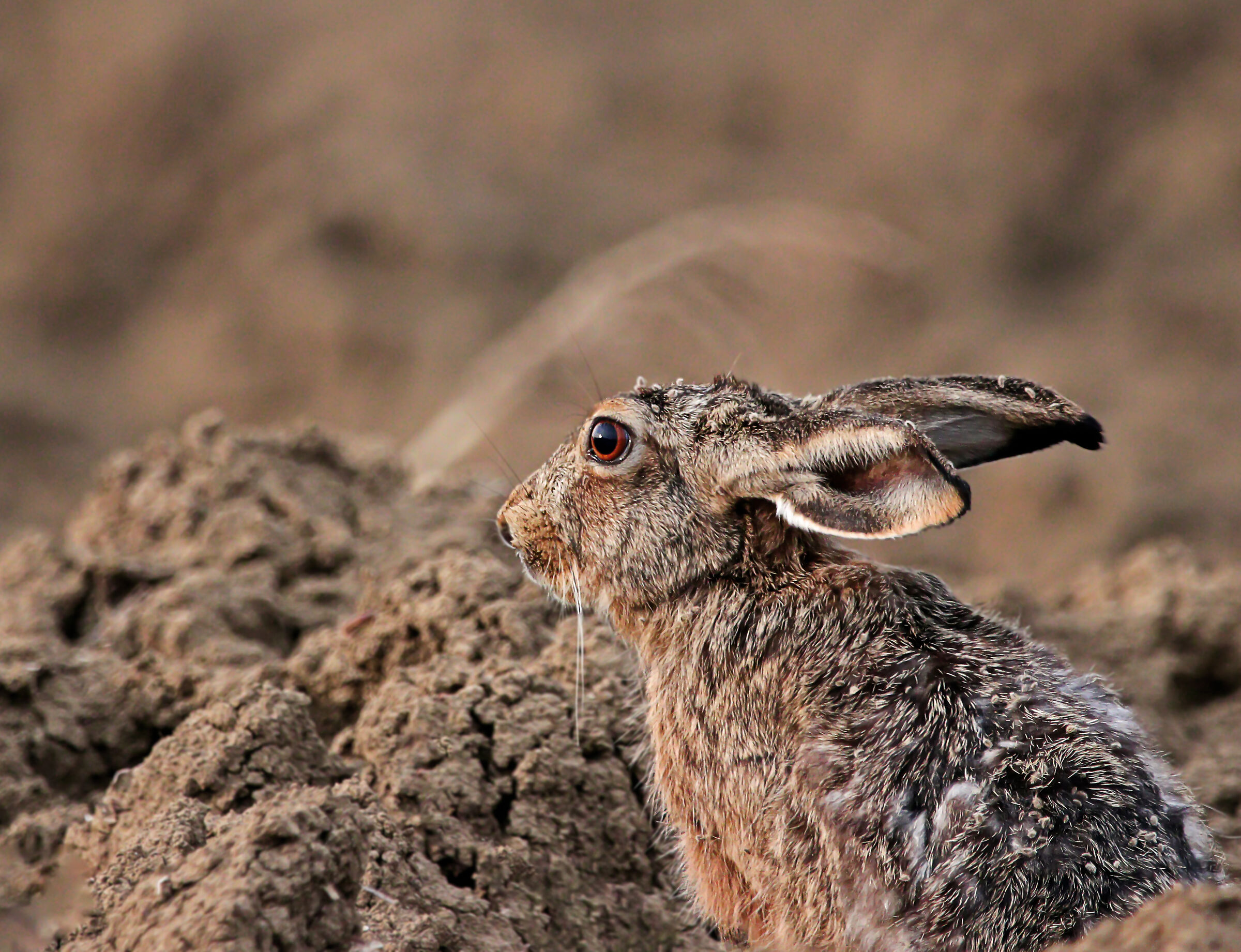 Resting in front of the last ray of sunshine