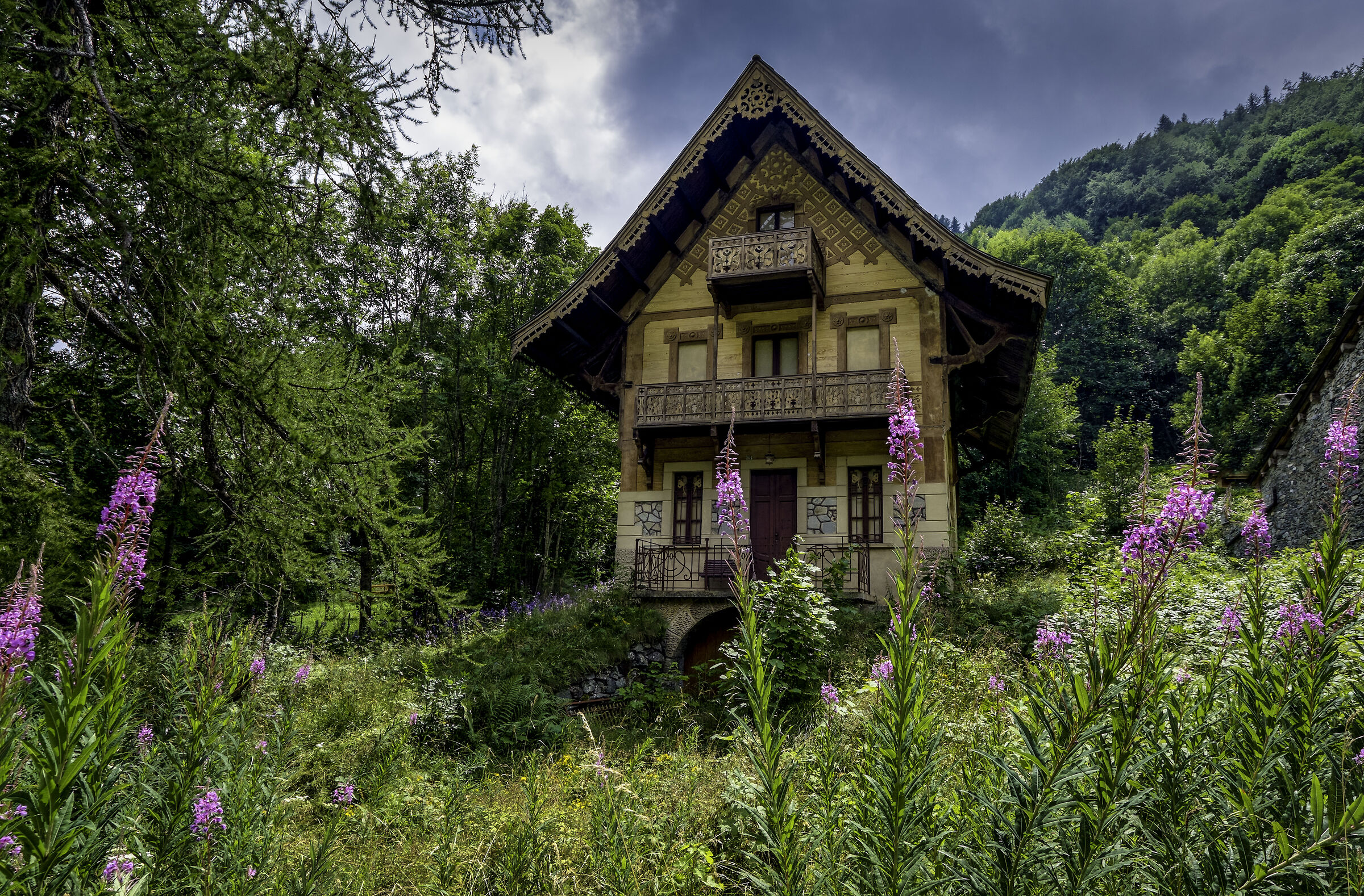 come, there's a house in the woods...