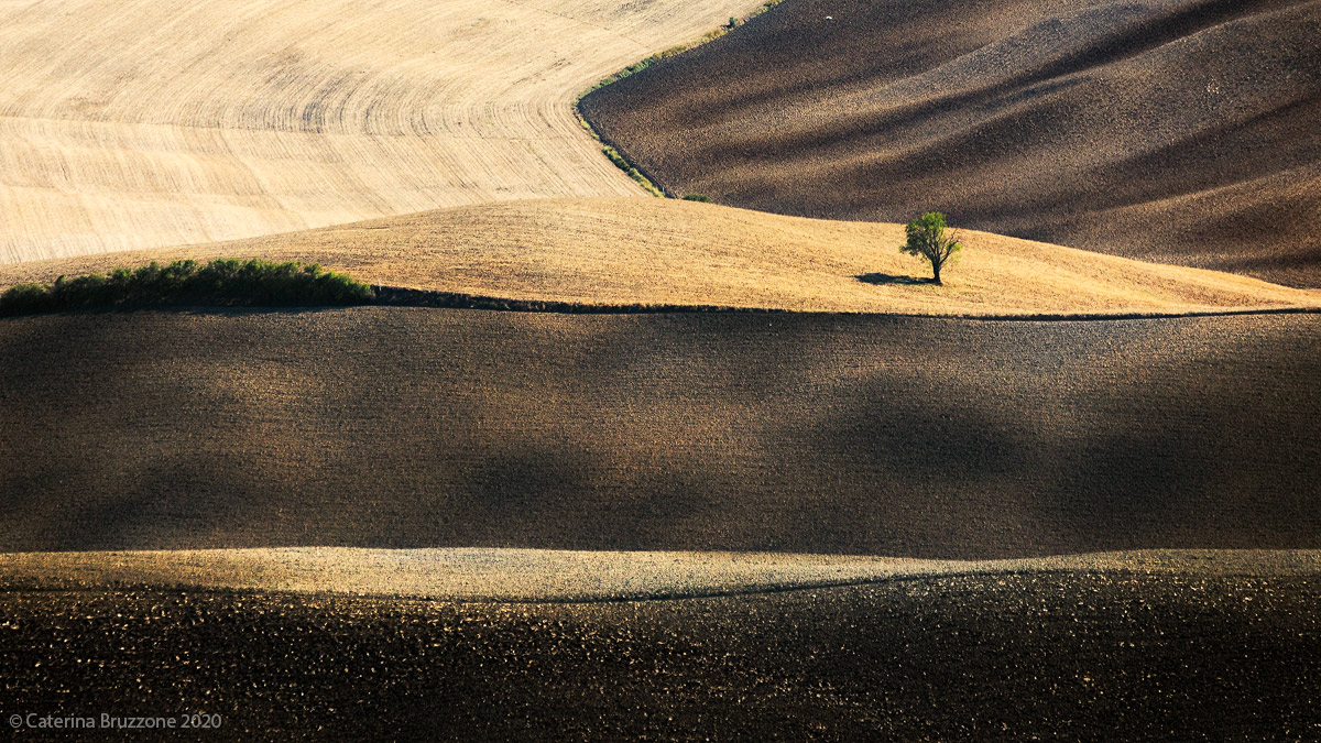 The colors of the earth