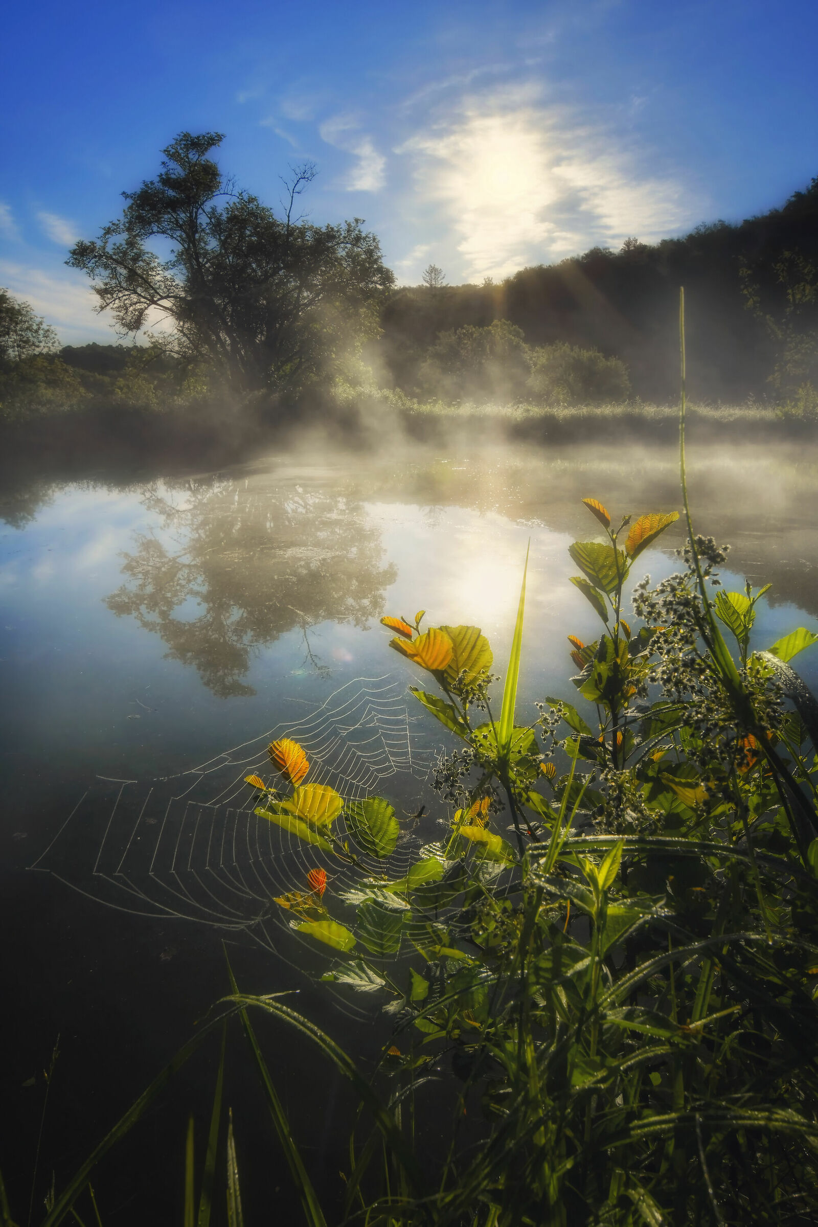 In the Silence of a Dawn