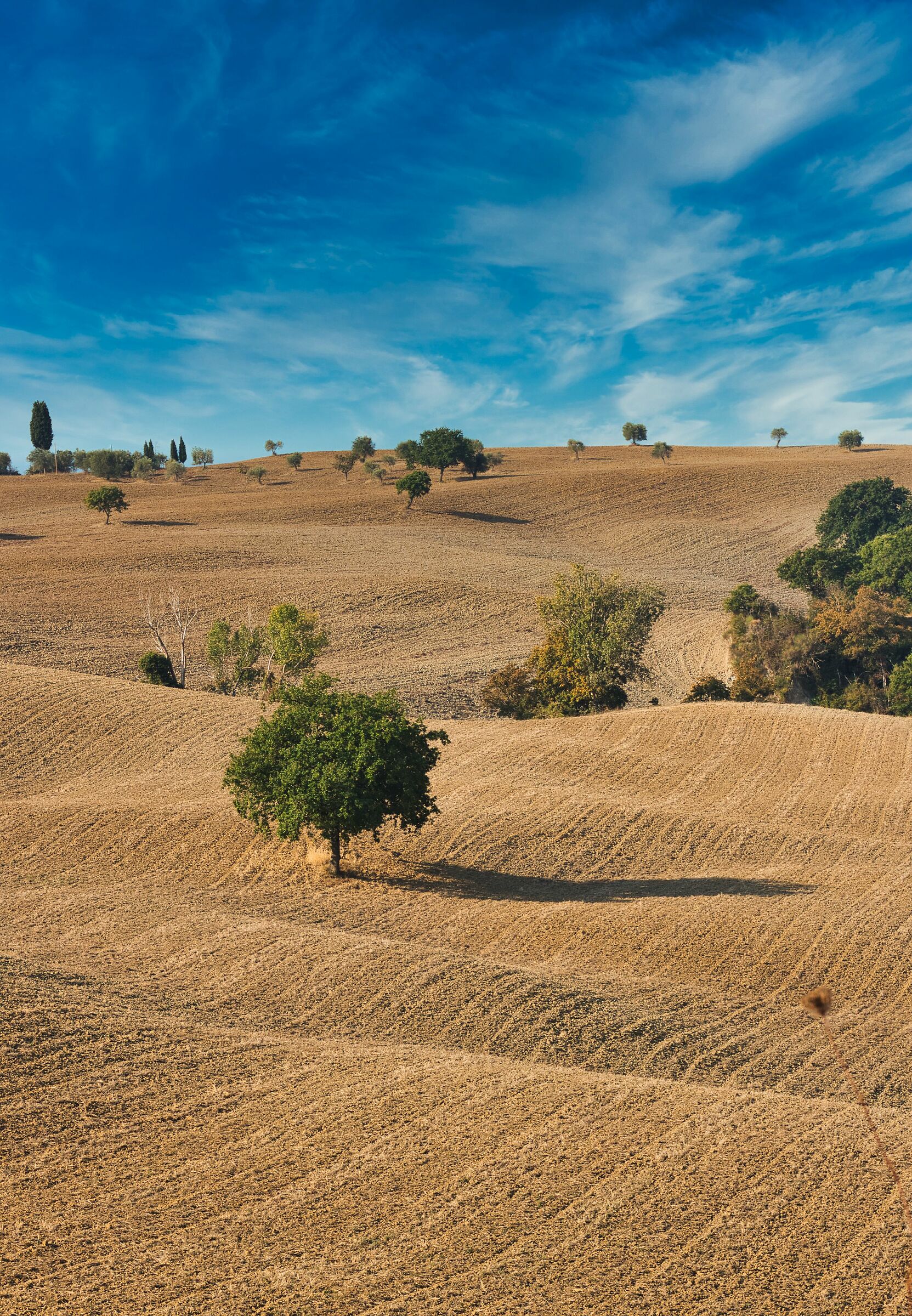 Semplicemente val d'orcia