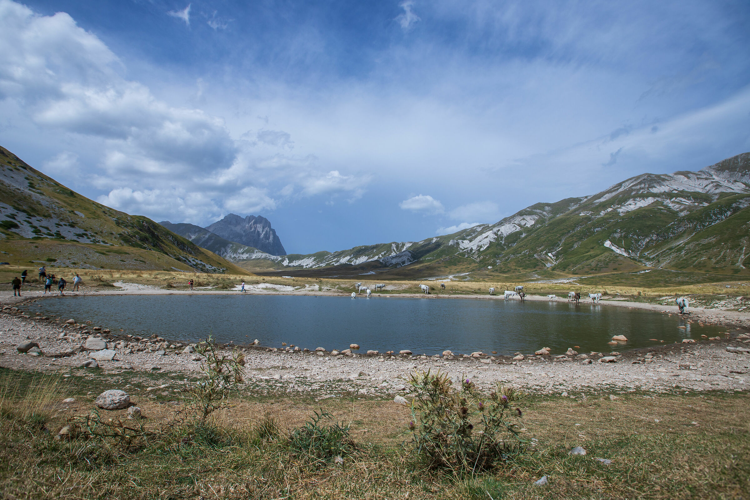 Lake stonenzoni