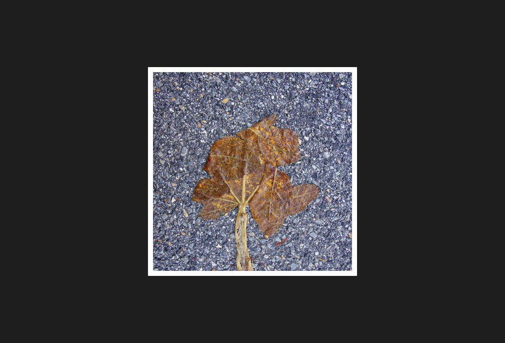 note di autunno, 2016