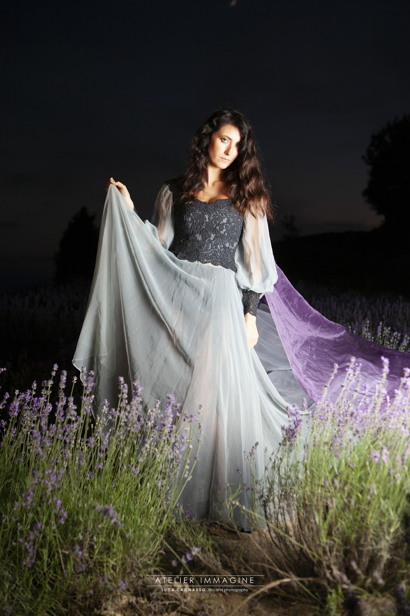 The last light in lavander's field