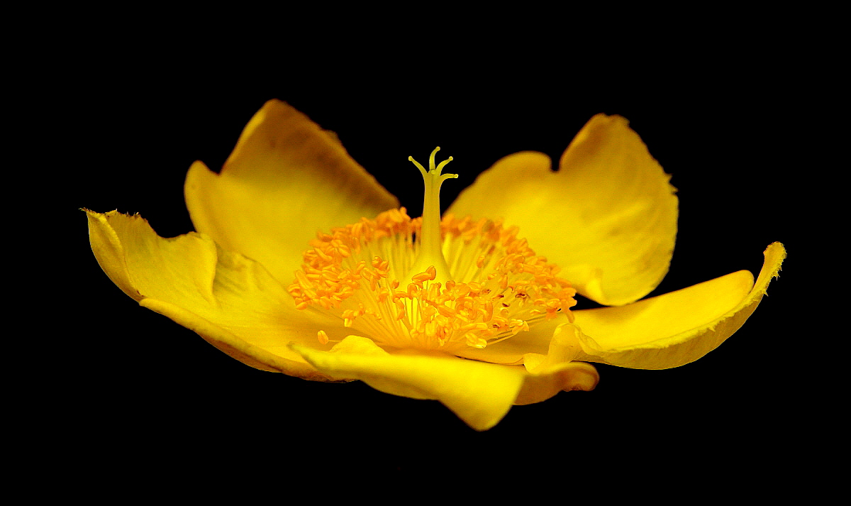 Una manina verso il celo!