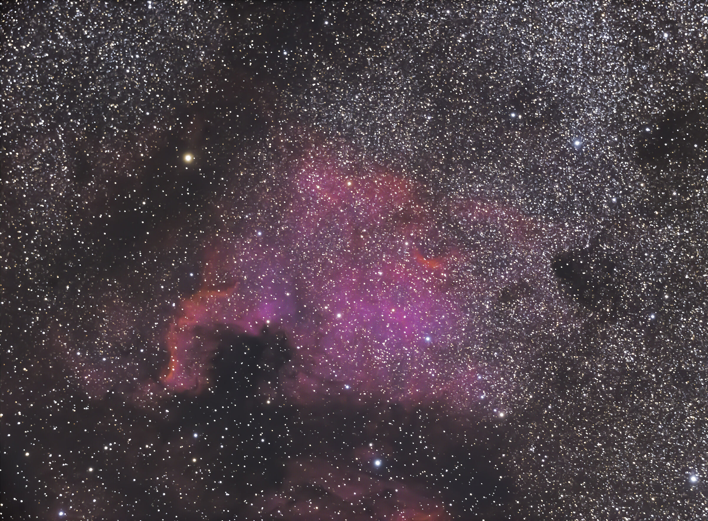 nebulosa north america