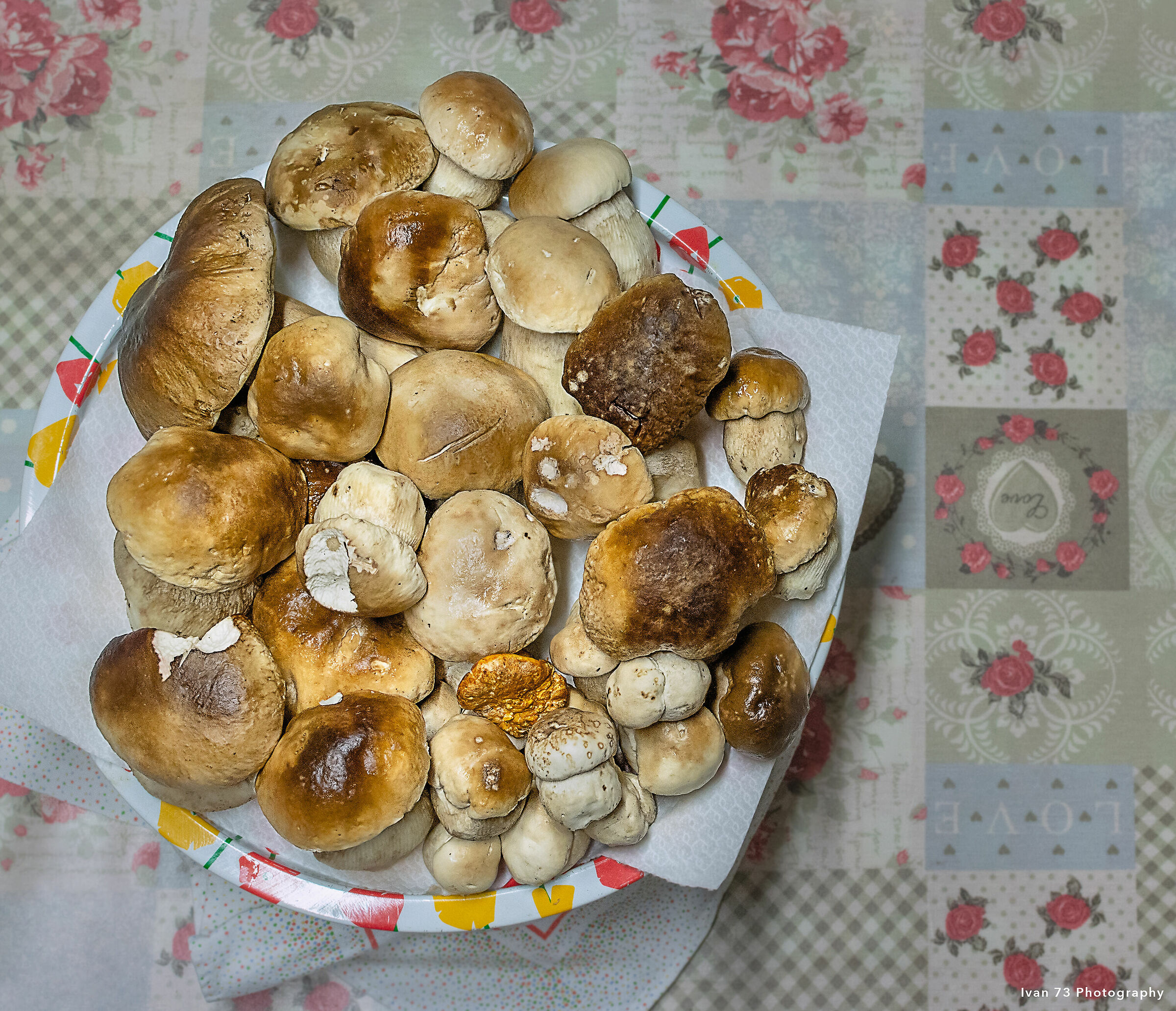 Funghi freschi  appena raccolti