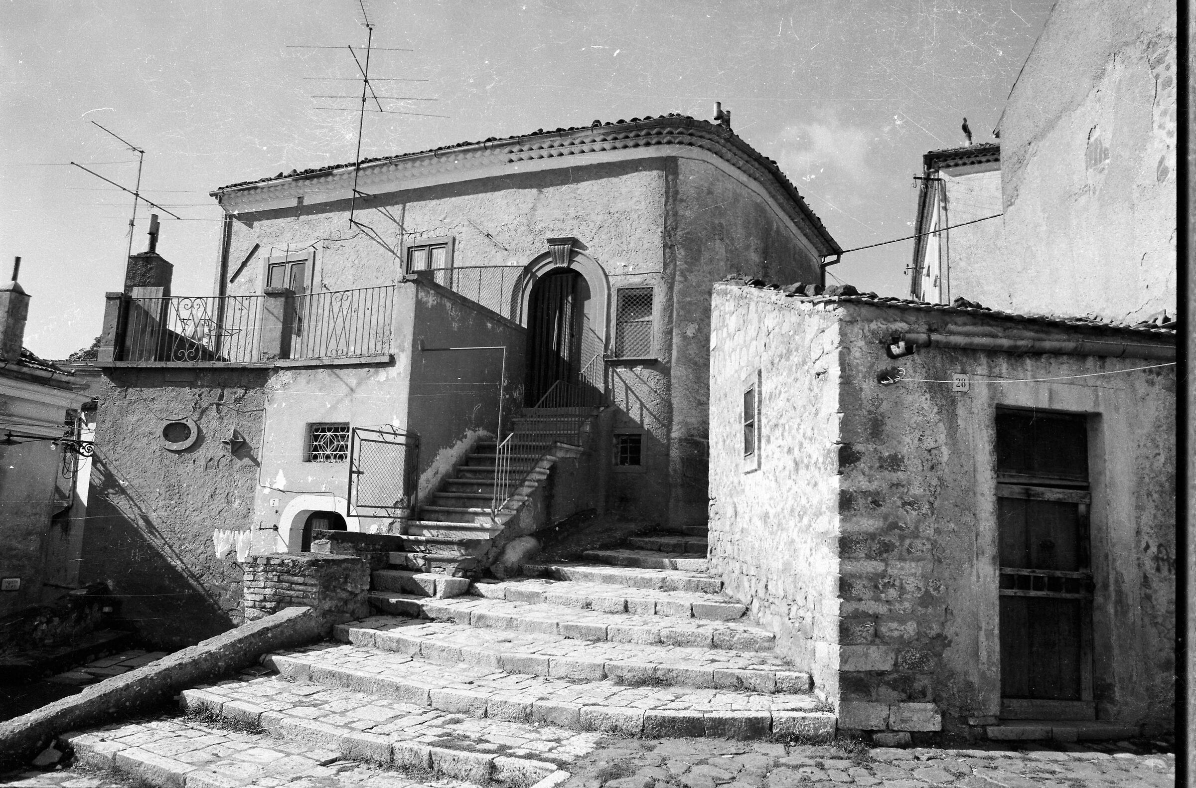 1981 canon ae-1 mutande al vento