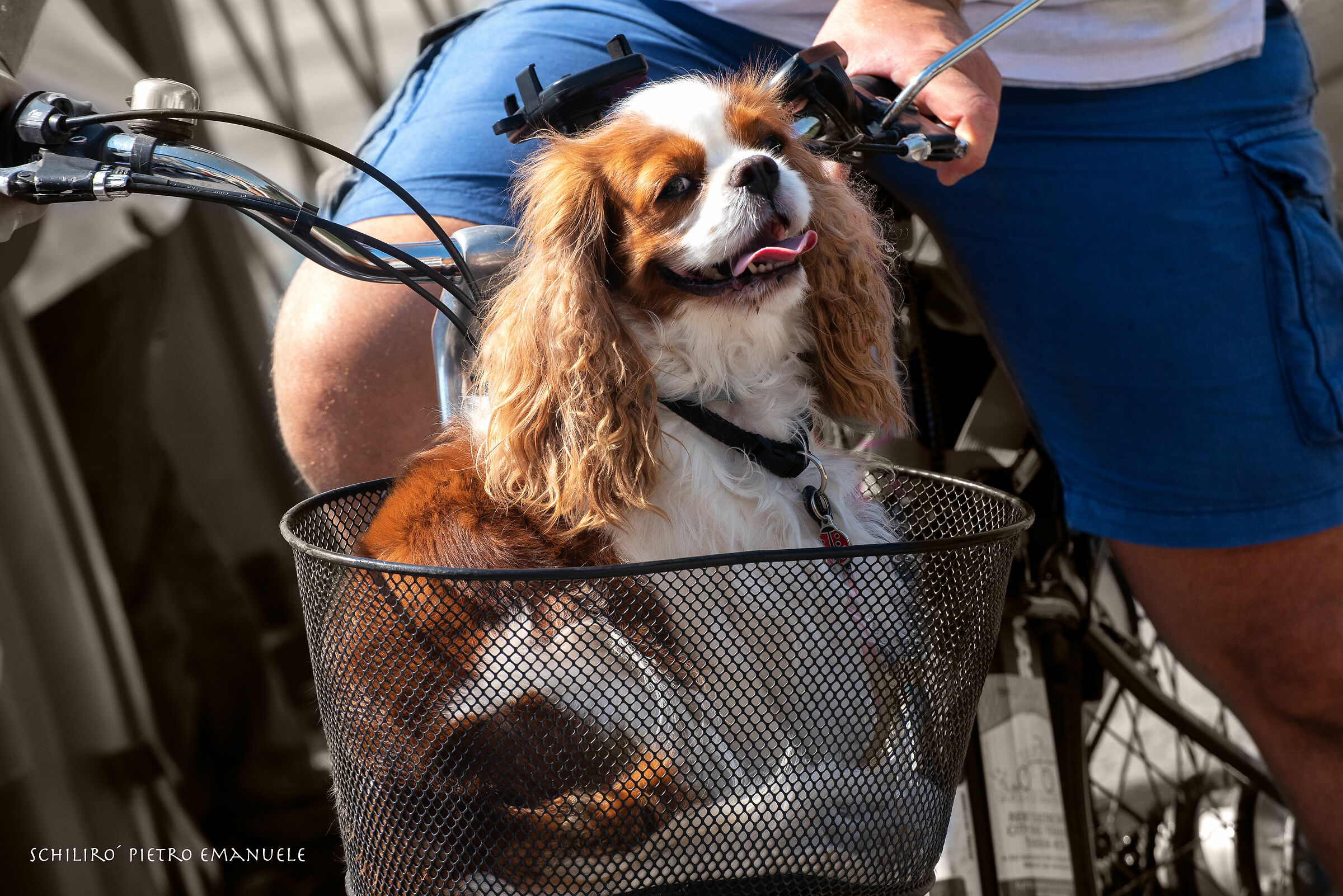 I go out with Friends, They know how to drive me.