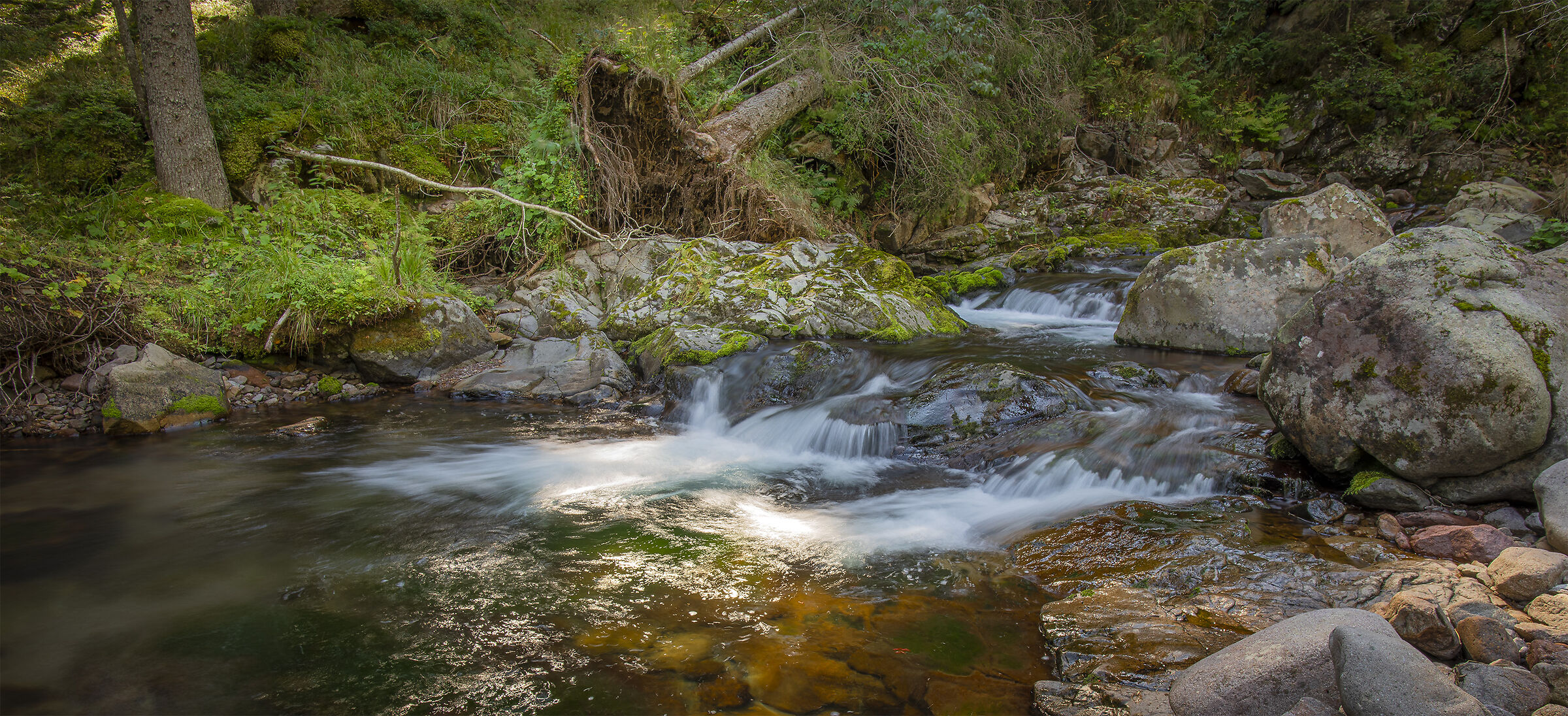 Torrente di montagna