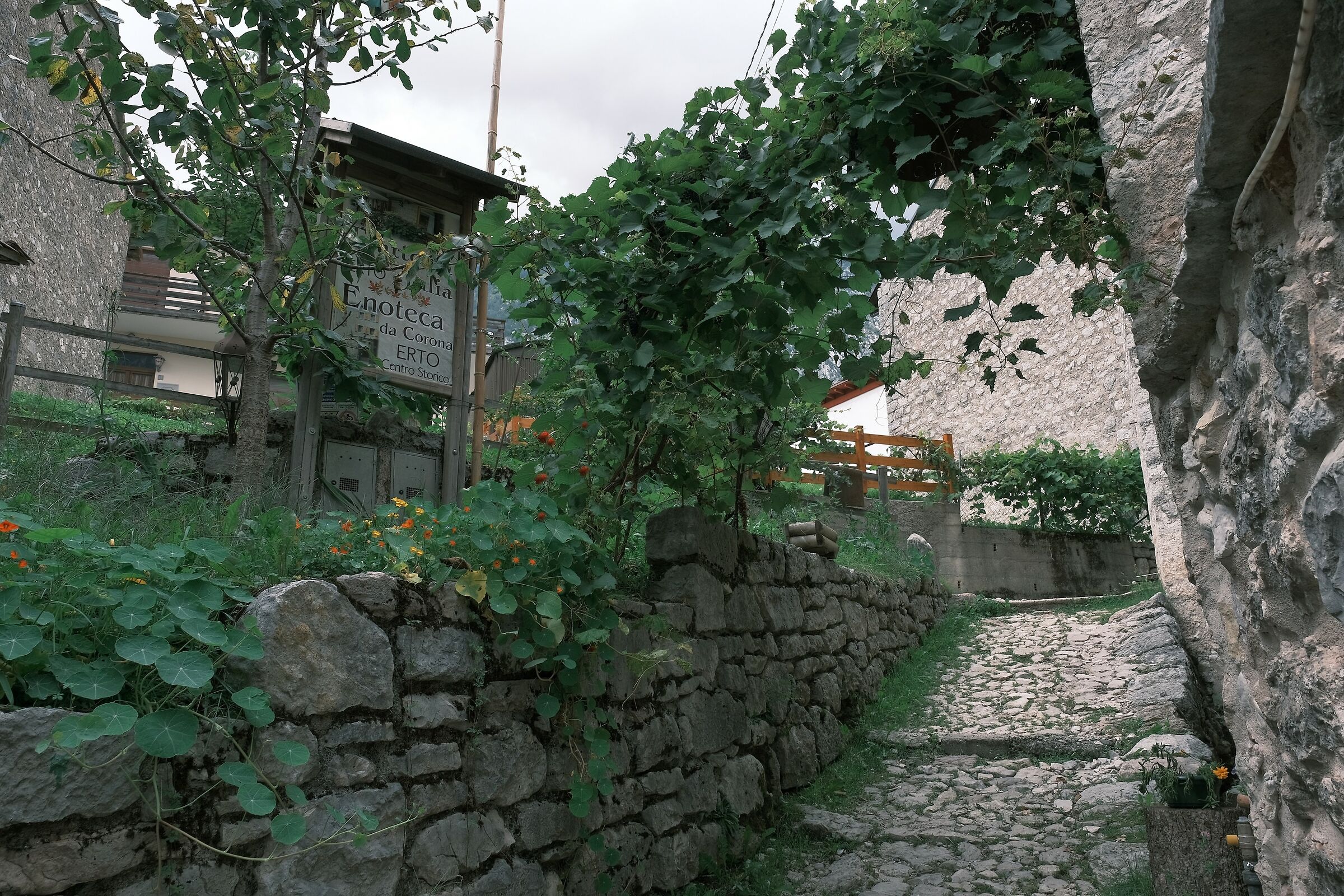 A Erto