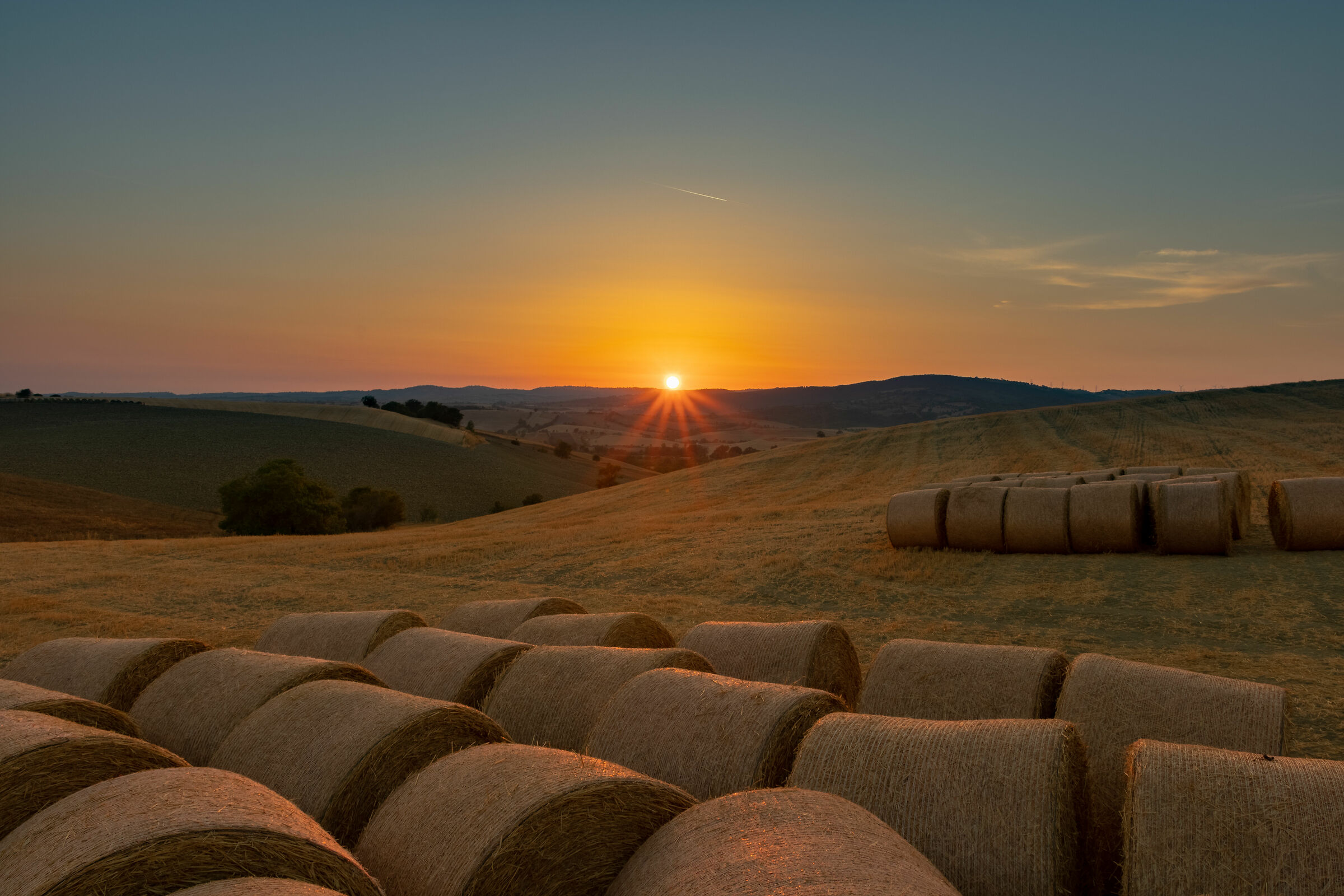 golden tuscany