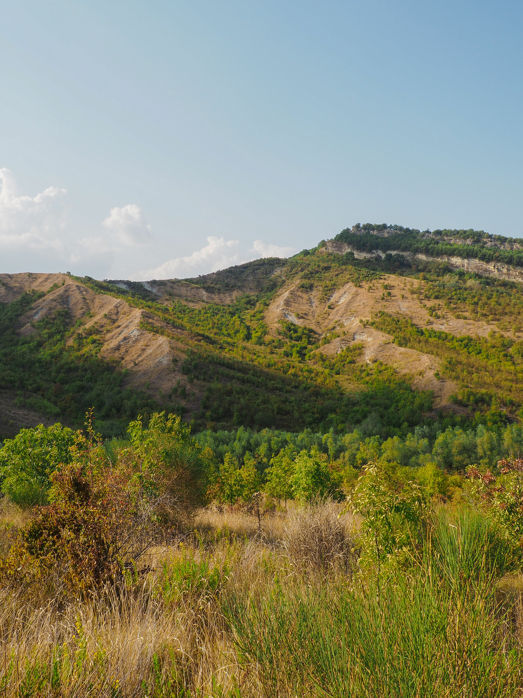 non si trova l'antica torre