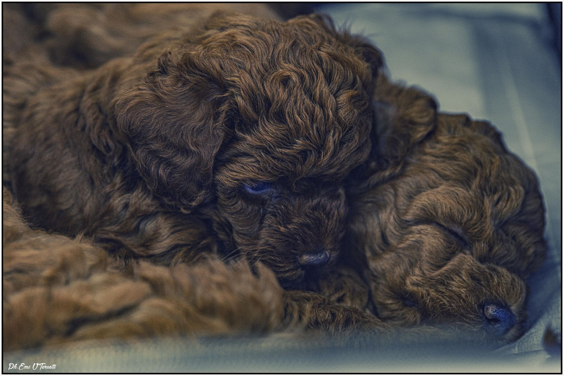 Sleep asleep... I protect you....!