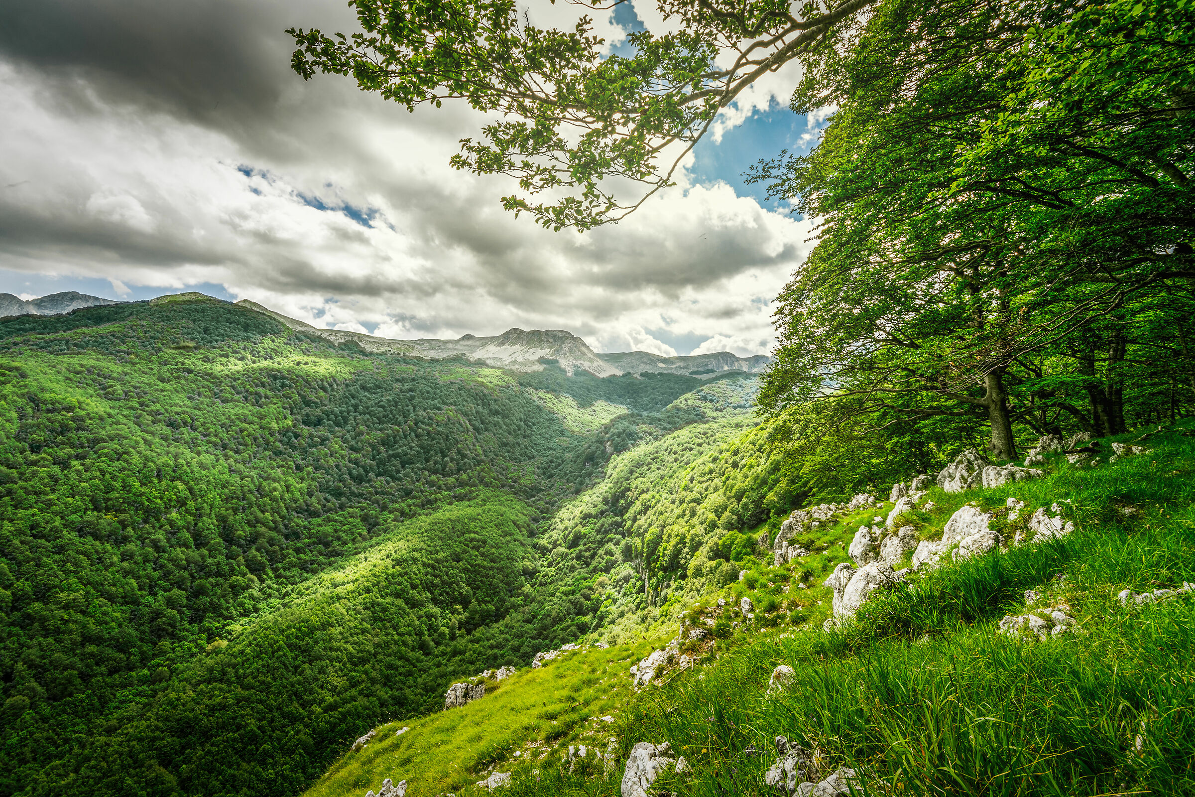 Terrazza di Rio Torto