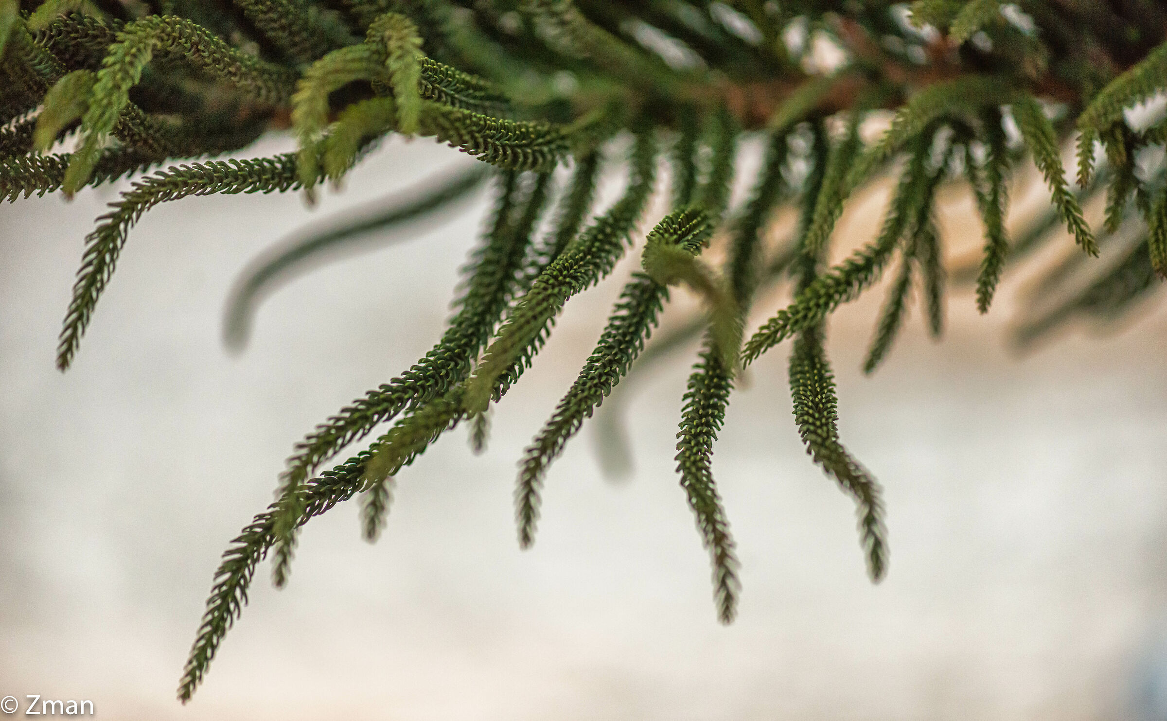 Bella. Congratulazioni.