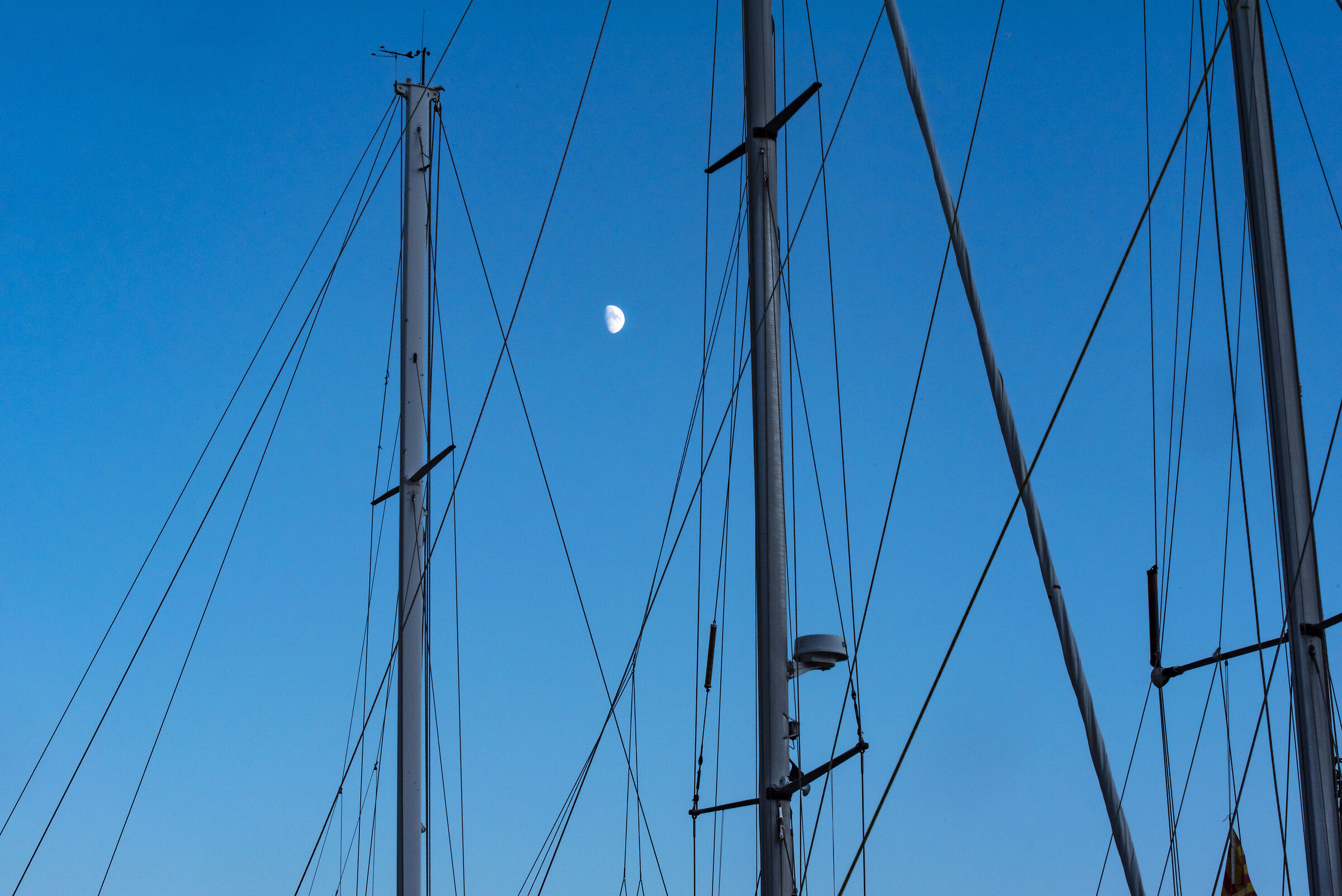 la luna tra "gli alberi"