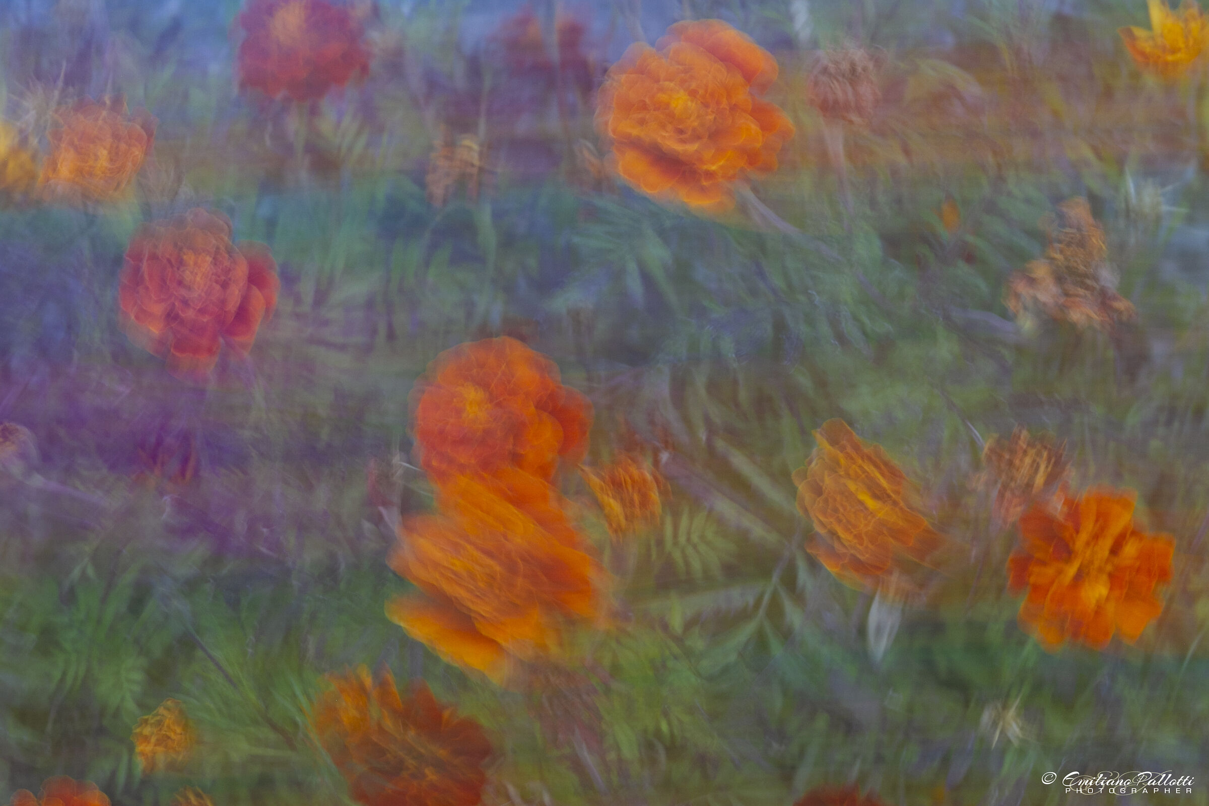 The Canon as a brush