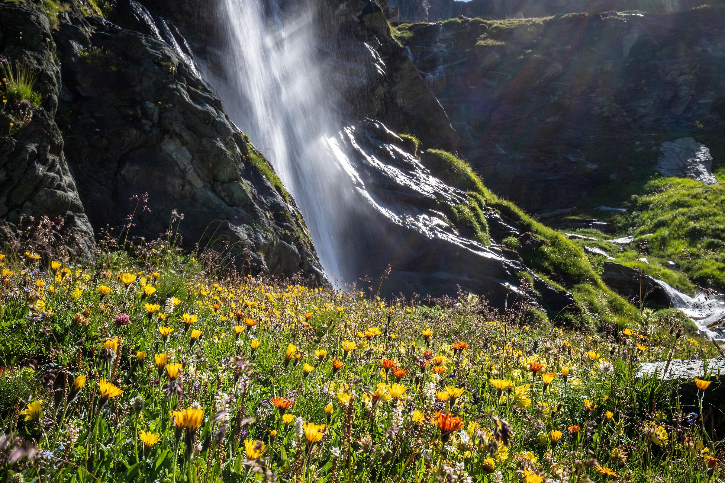 L'essenza della vita.
