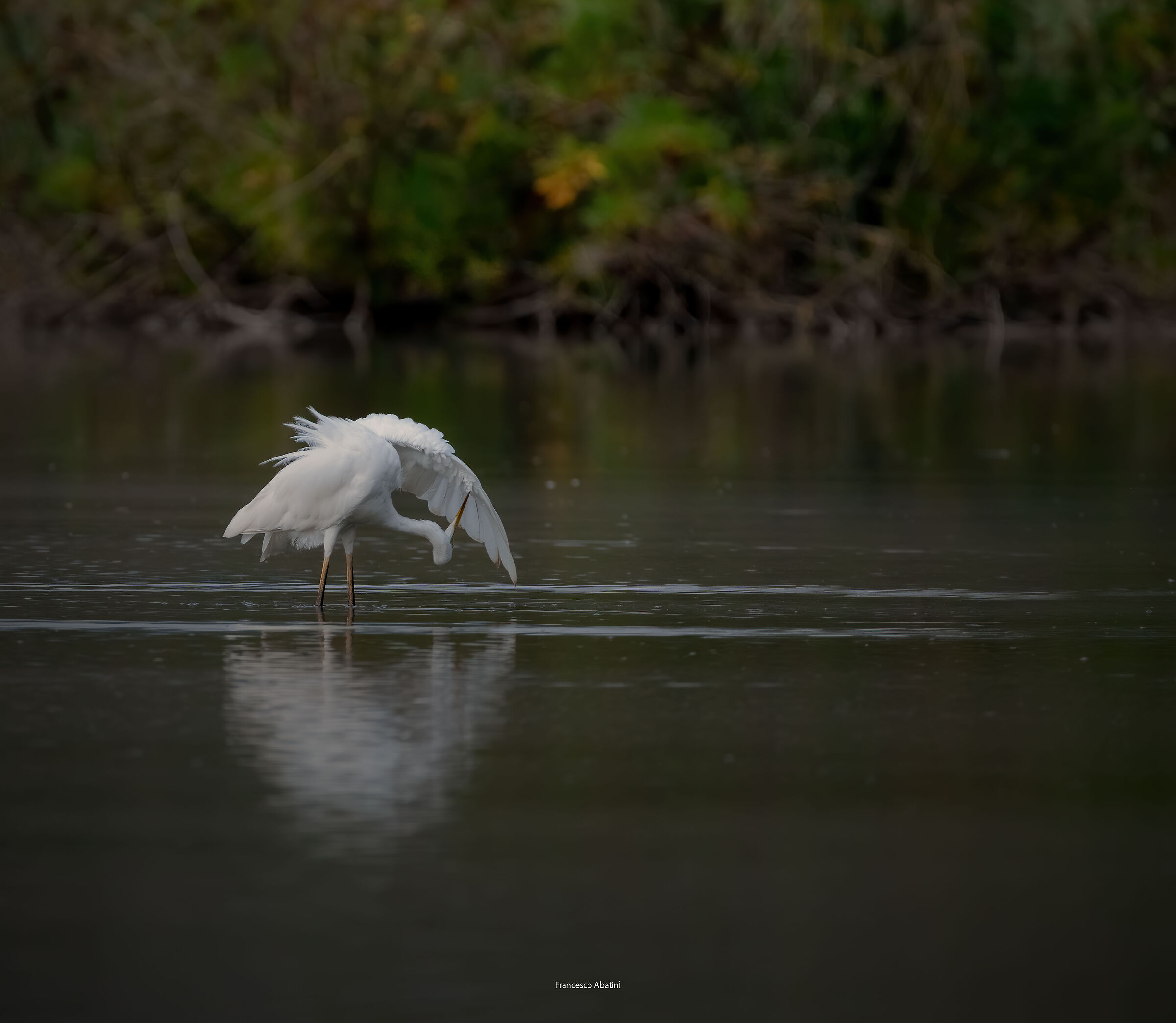 "End-of-summer cleaning"