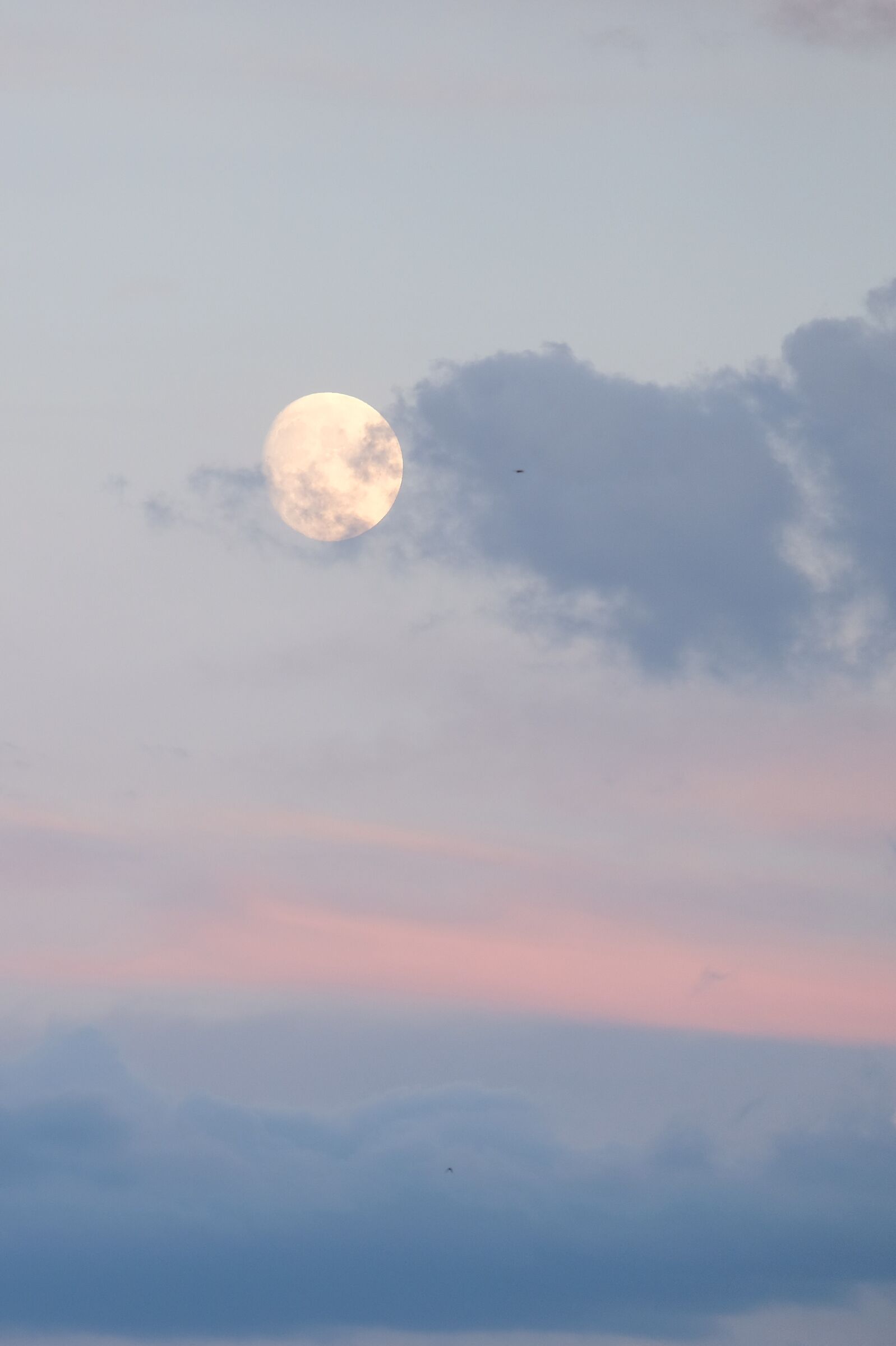 Faded Moon