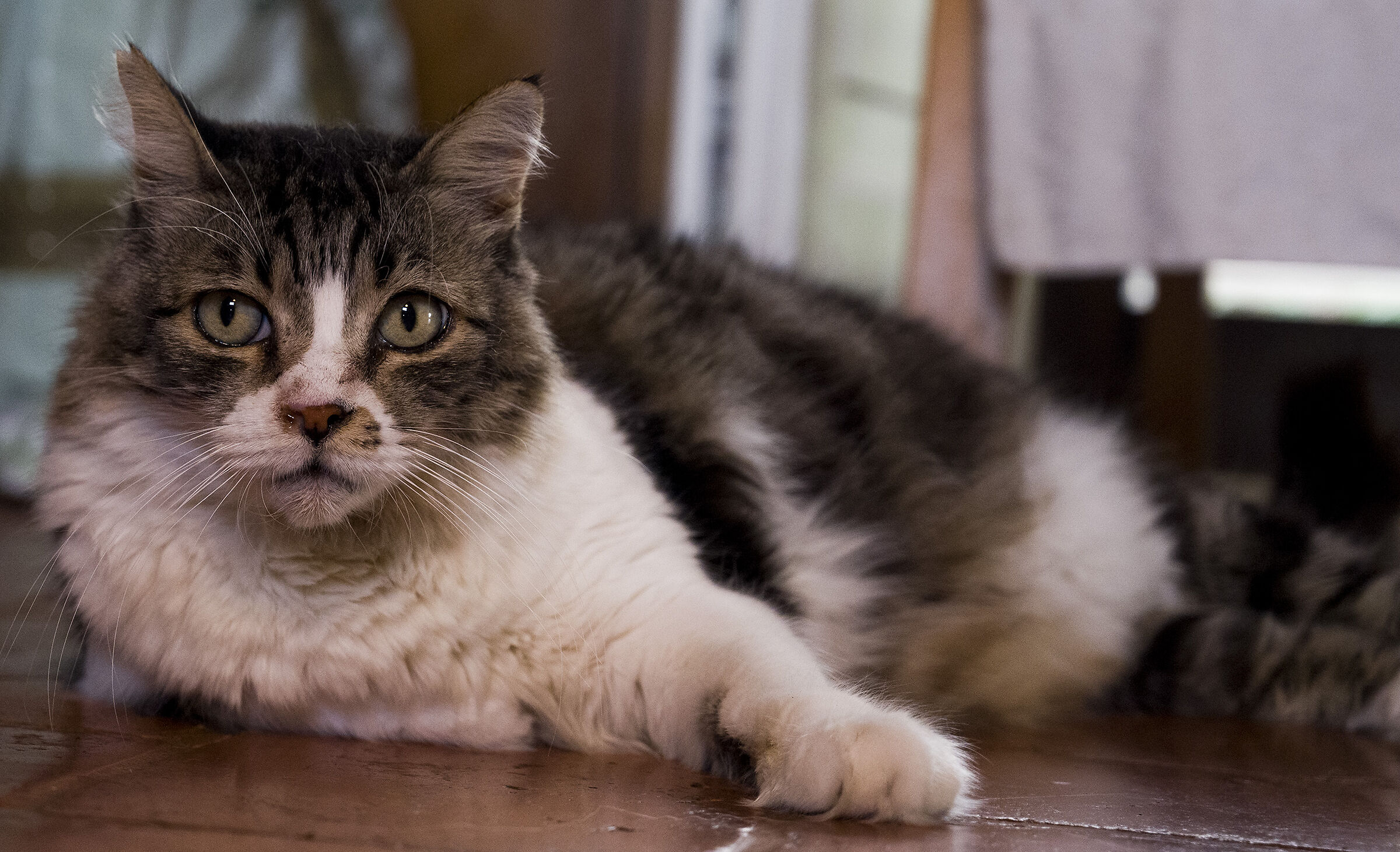 Norwick, New New Thanwick